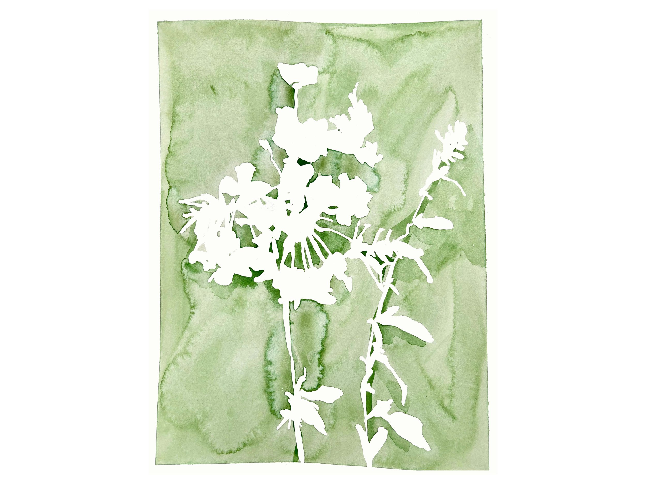 flora in green