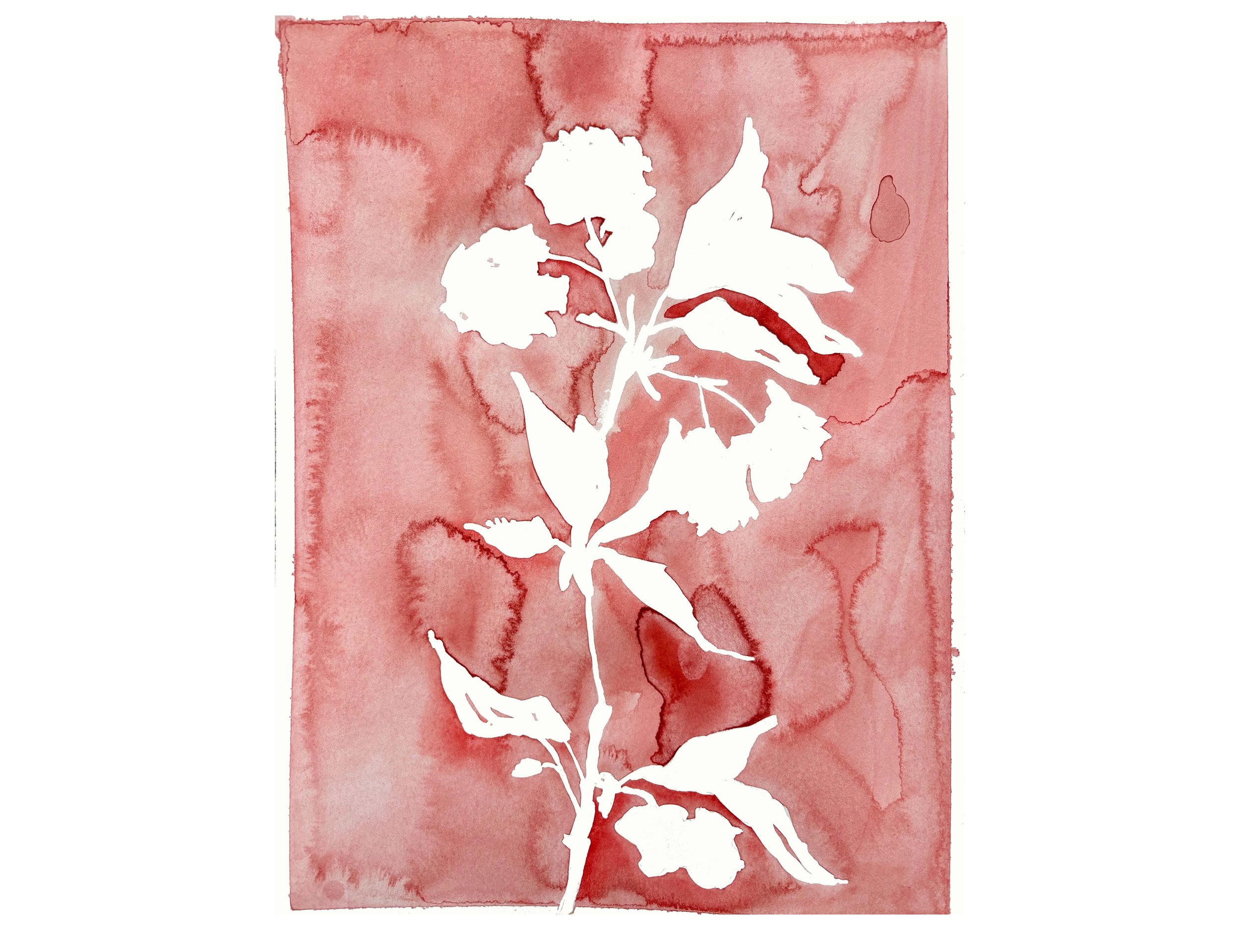 flora in red