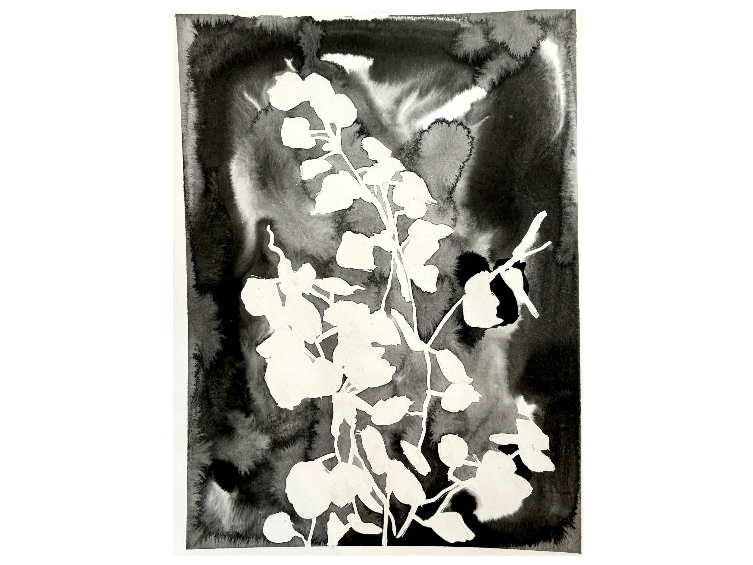 flora in midnight