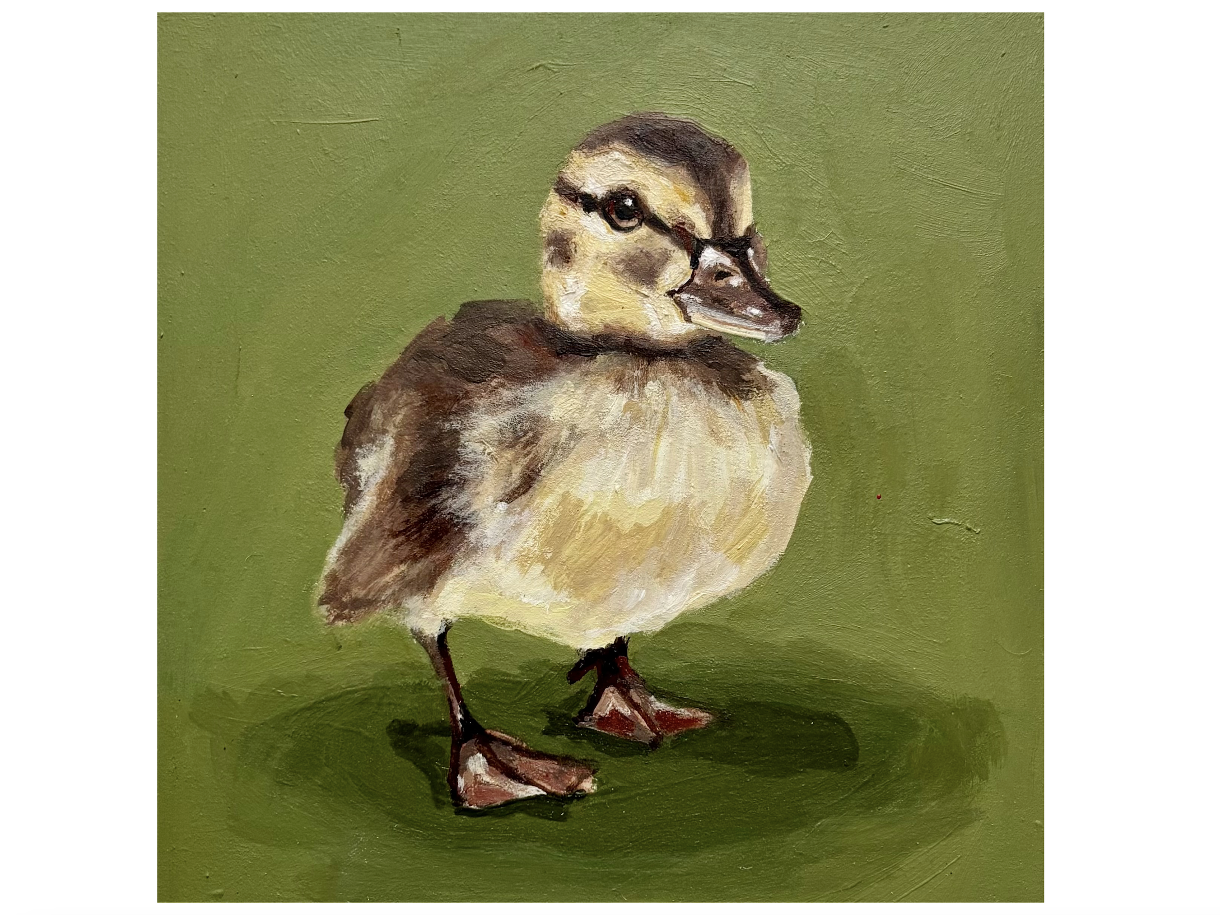 green mallard