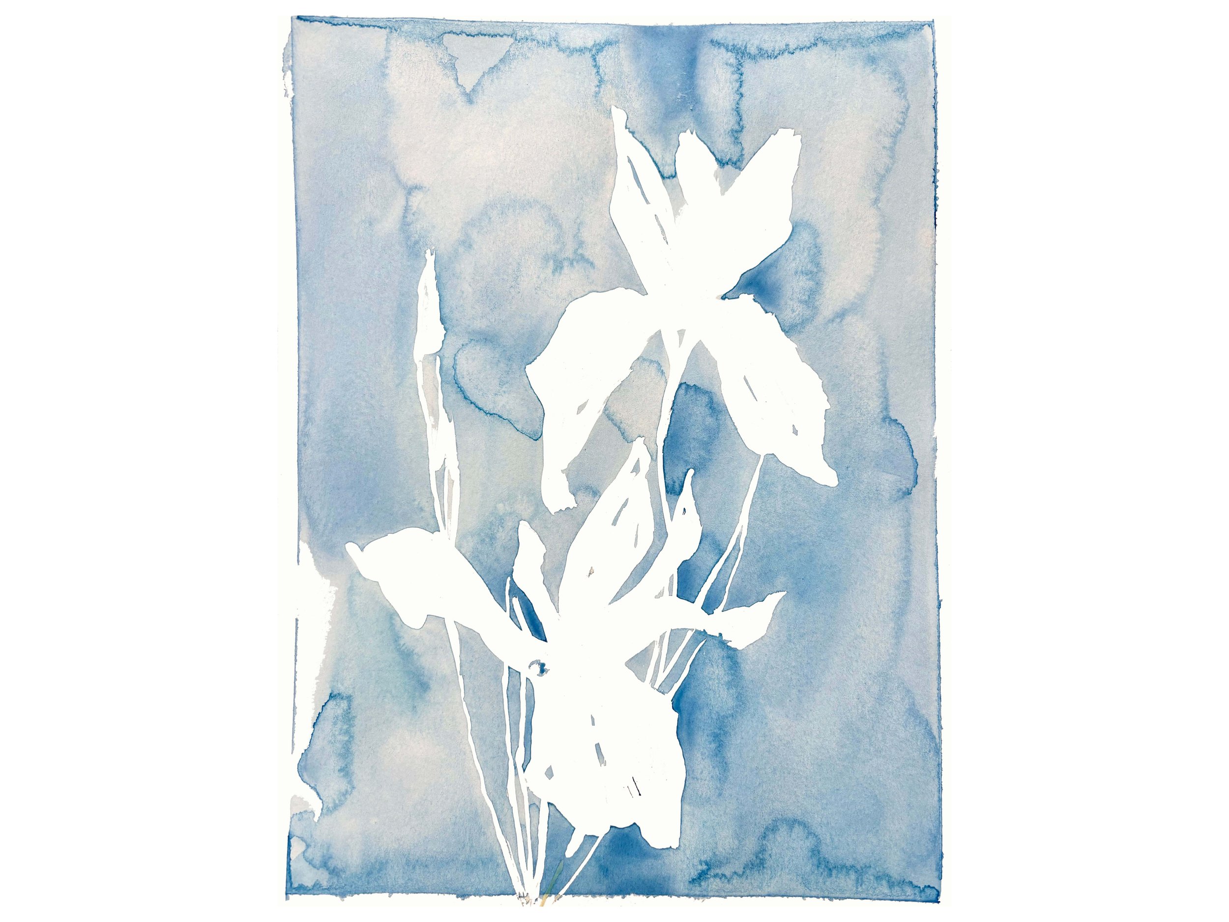flora in blue