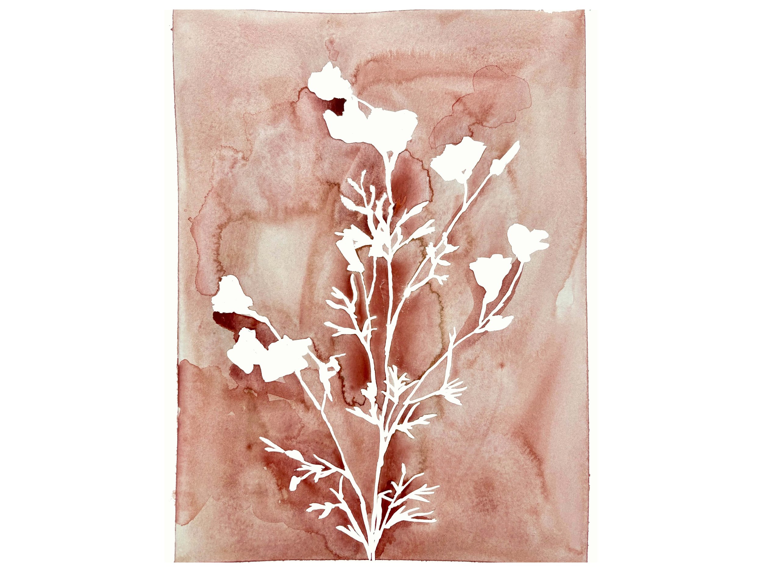 flora in sienna