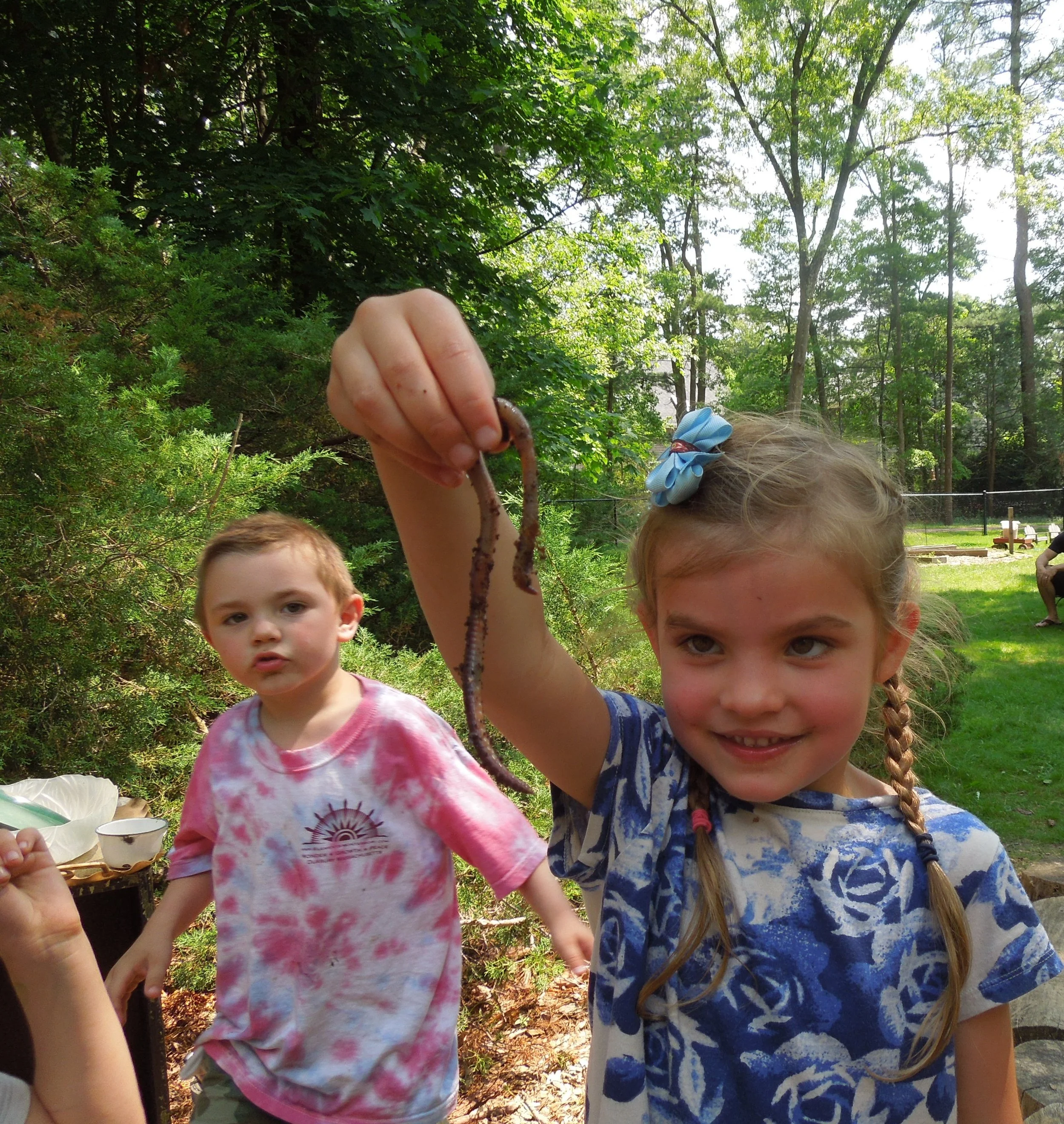 Summer program elements montessori school duxbury