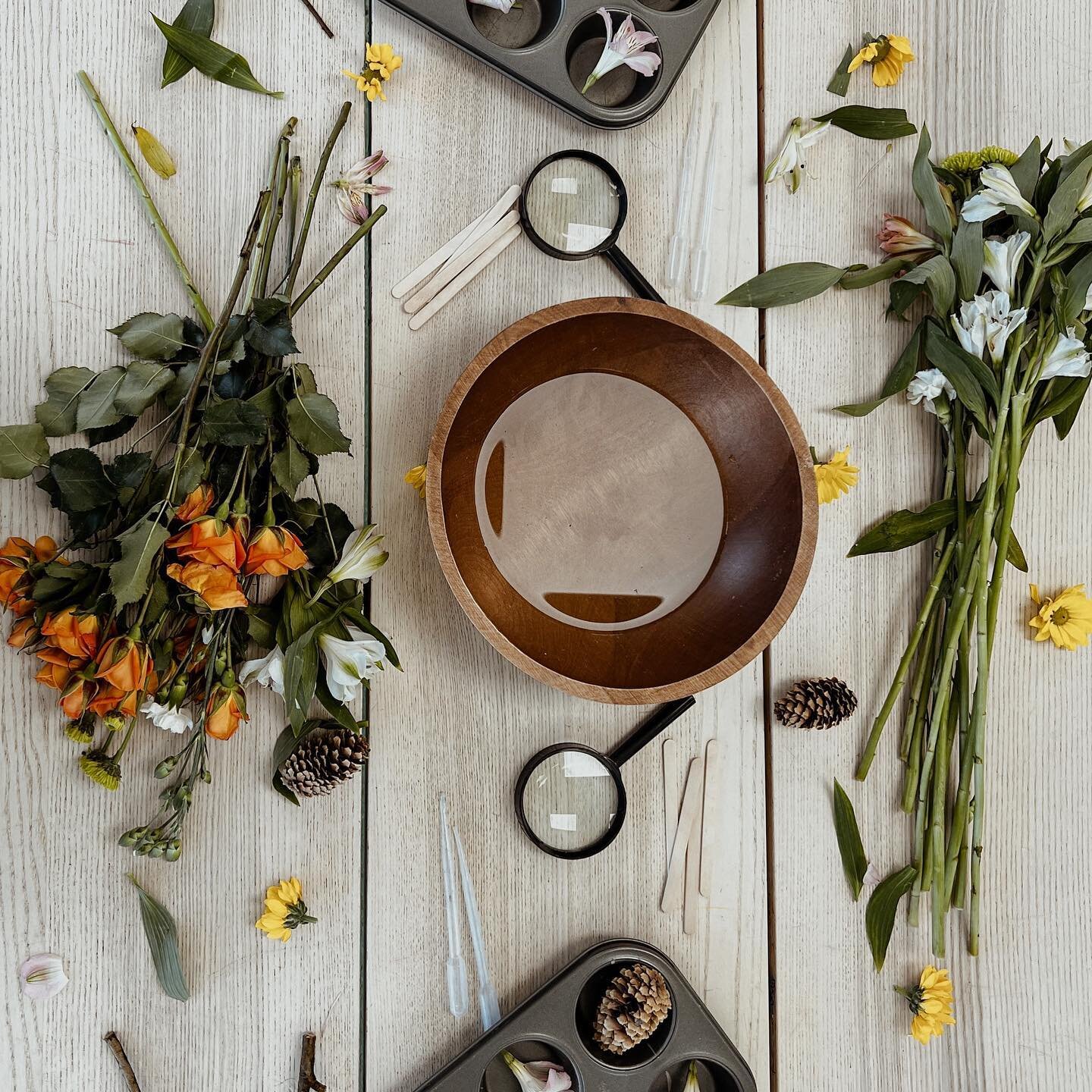 Using natural materials is a great way to connect your wee ones with nature, learn about sustainability and help protect the environment! 🌻 At our centres, we encourage our educators to use sustainable, recyclable and natural materials when creating