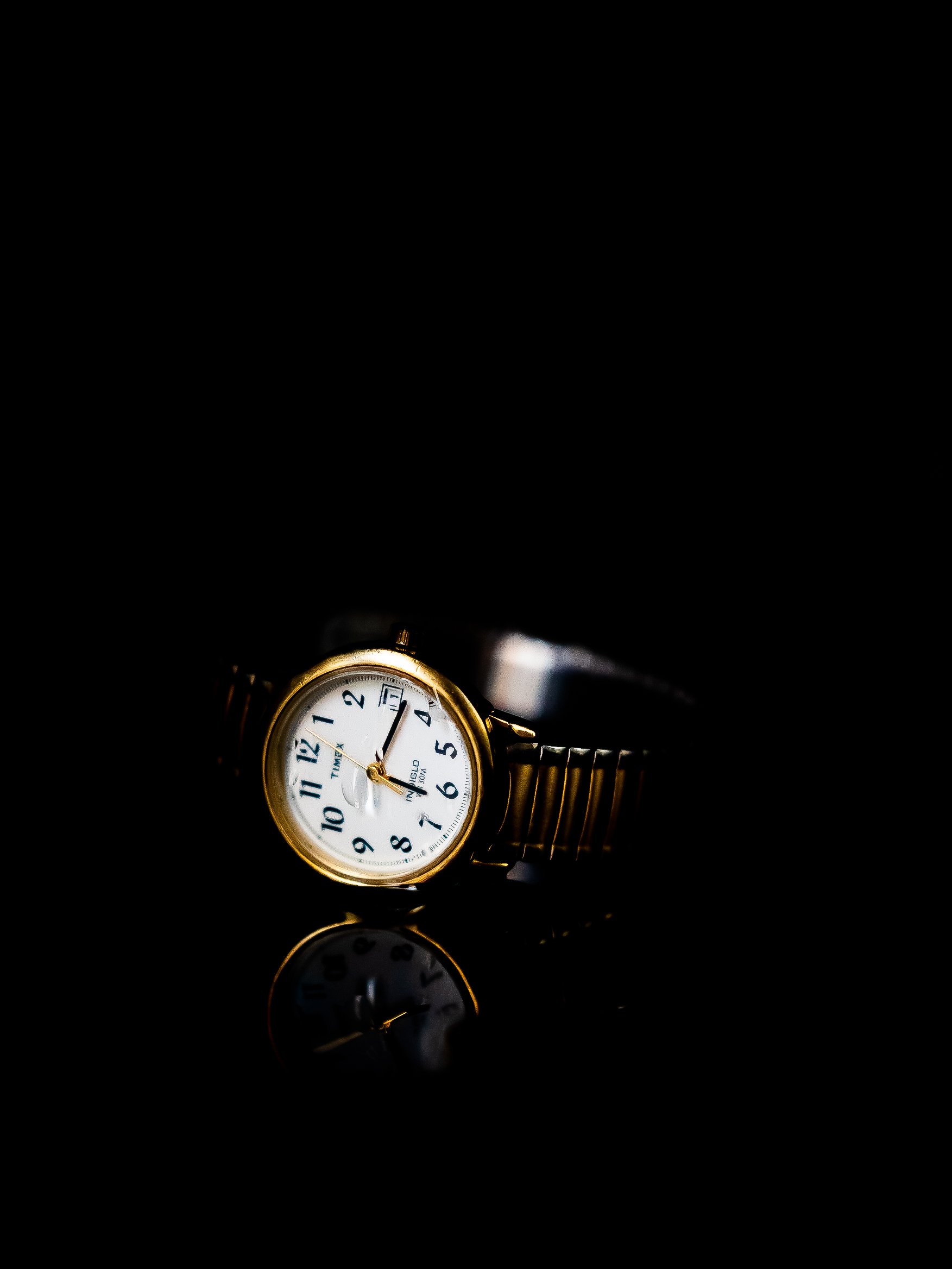 P1088513.jpg
