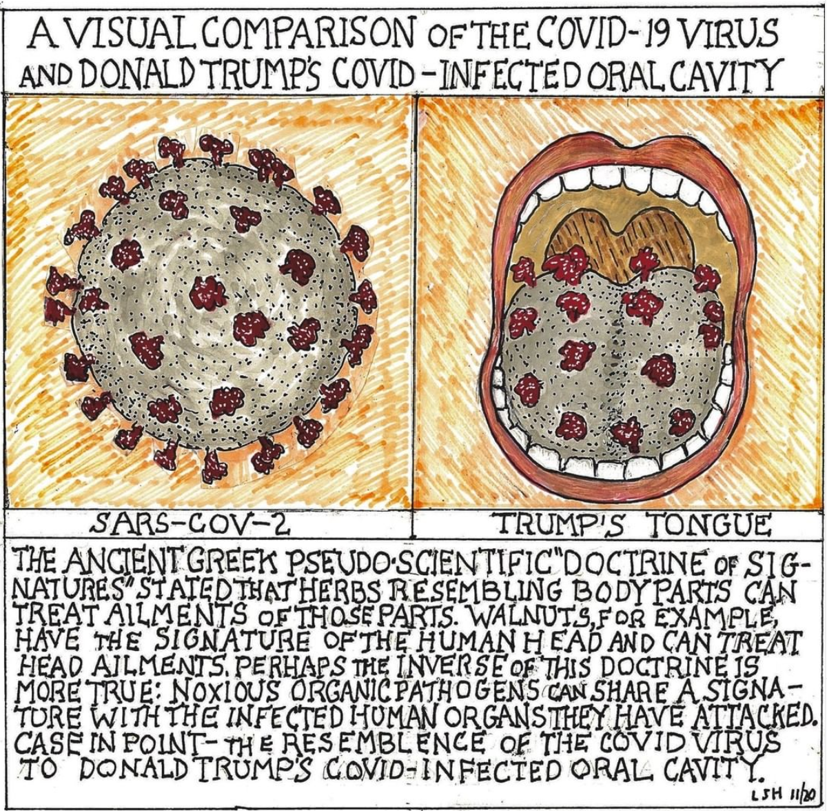 Donald Trump as an Infectious Virus: A post election perspective.