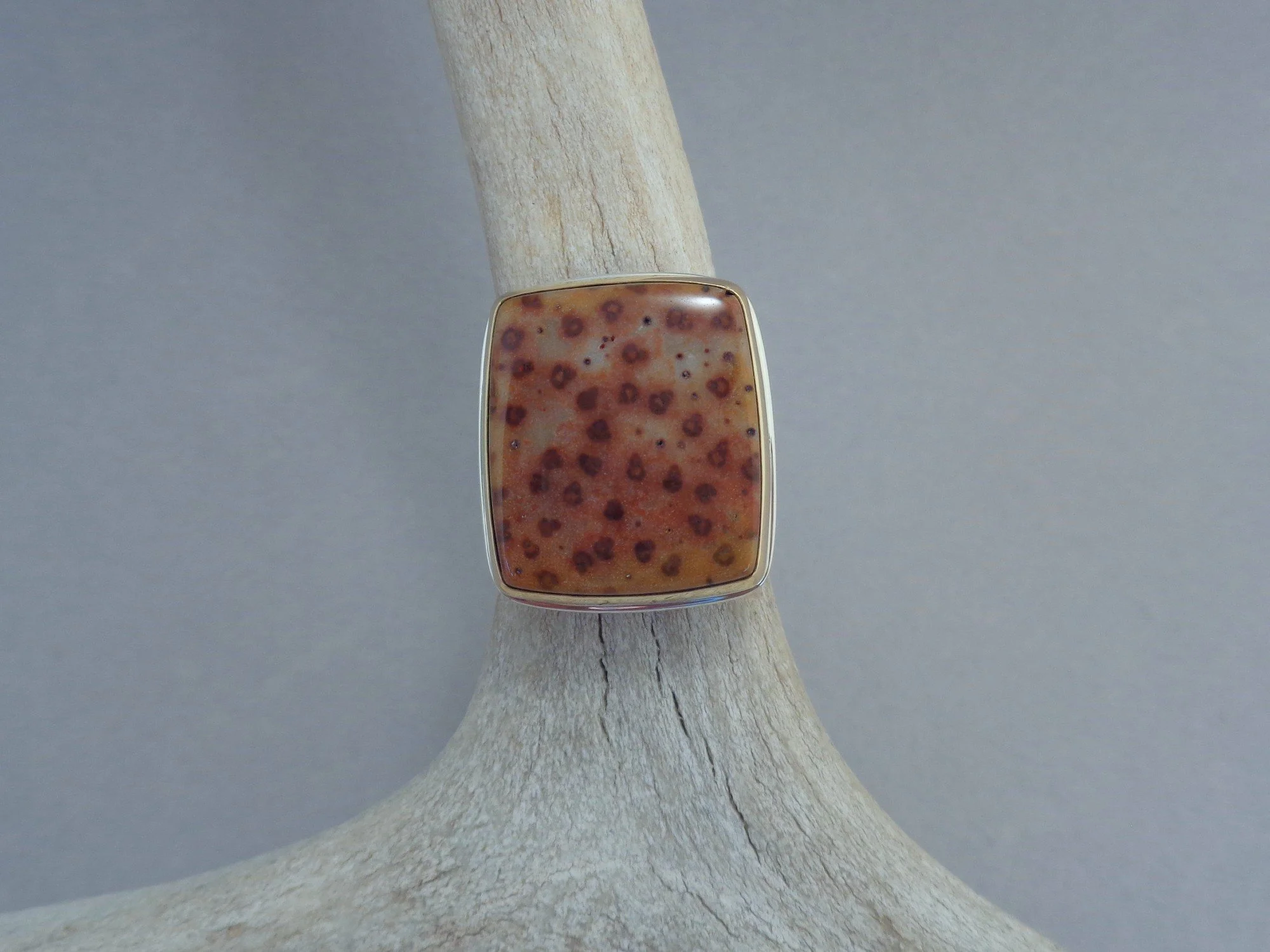 rust petrified palm wood ring x.jpg
