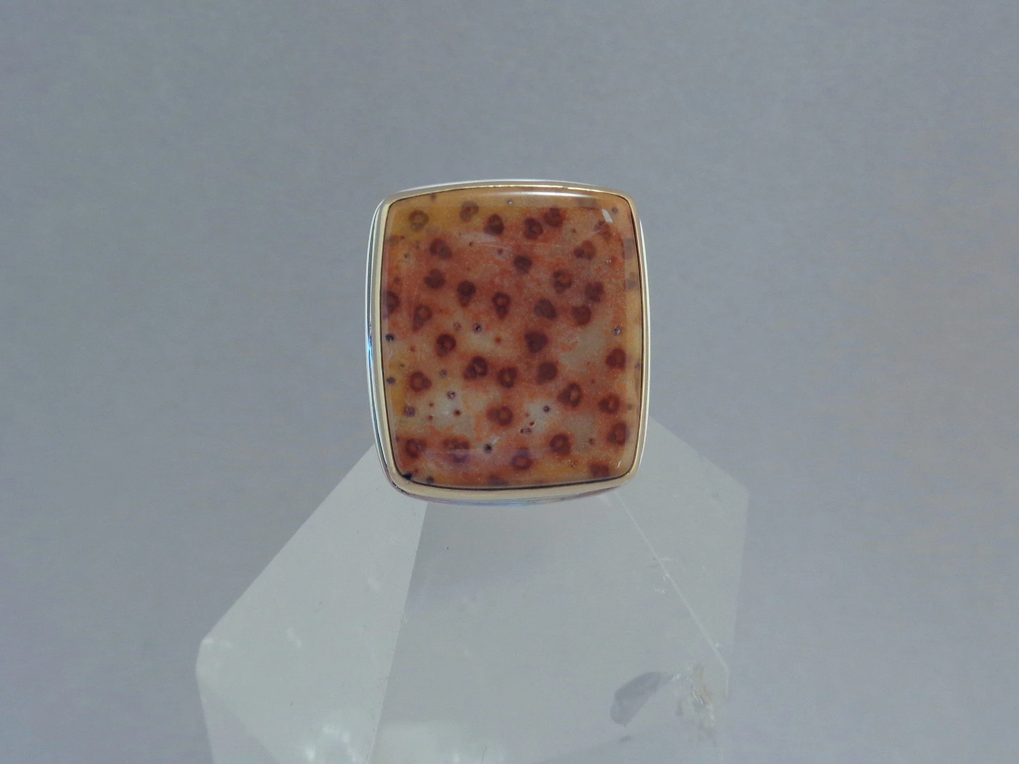 petrified palm wood ring x.jpg