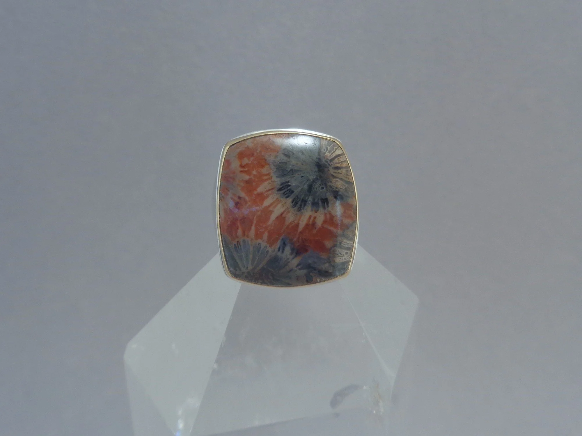 petrified sponge coral ring.jpg