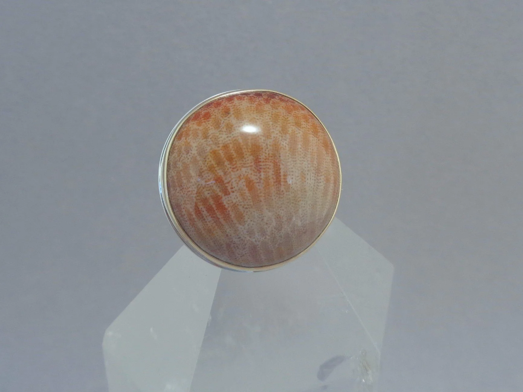 petrified palm wood ring x.jpg