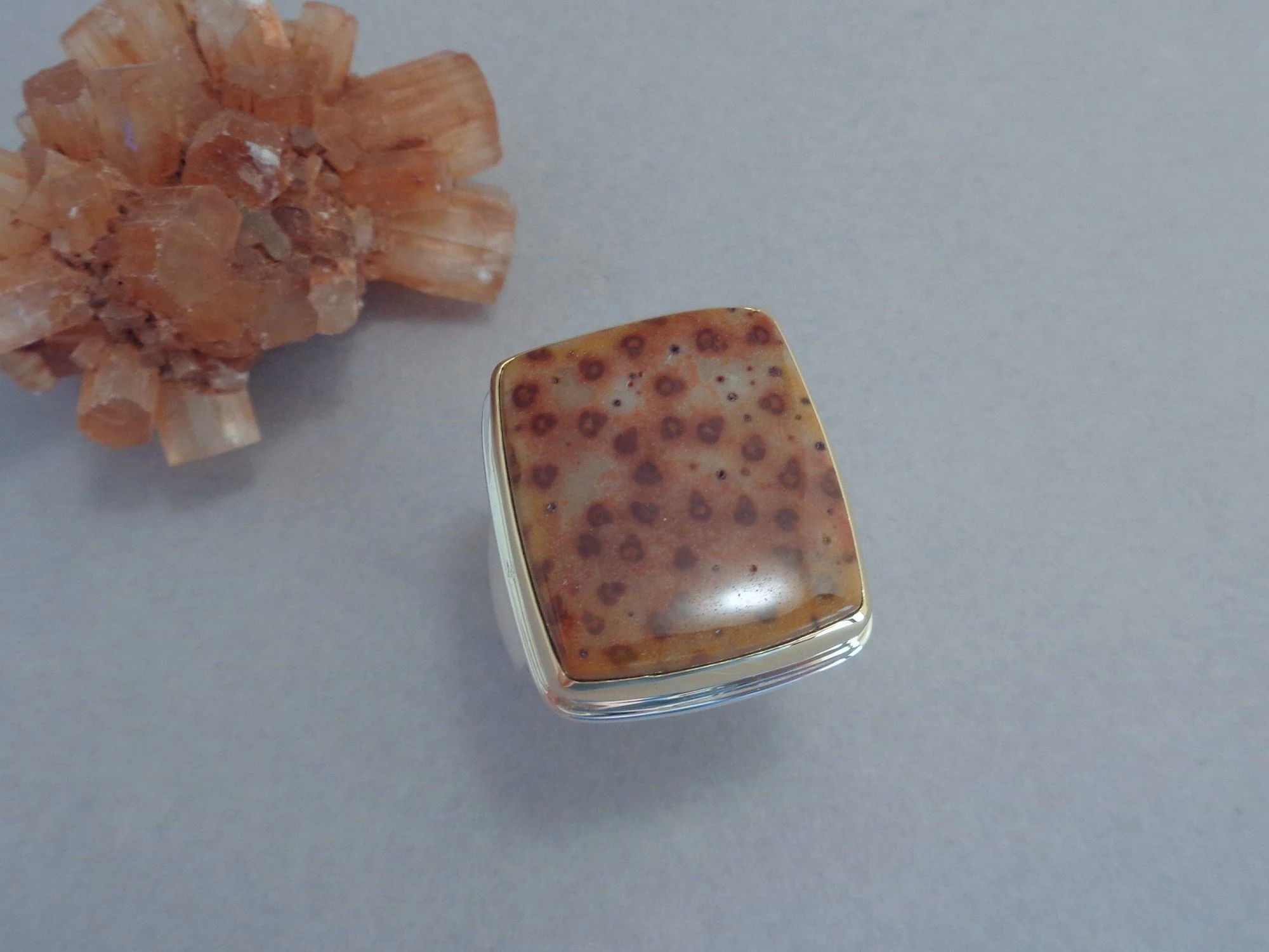 rectangular petrified palm wood ring x.jpg