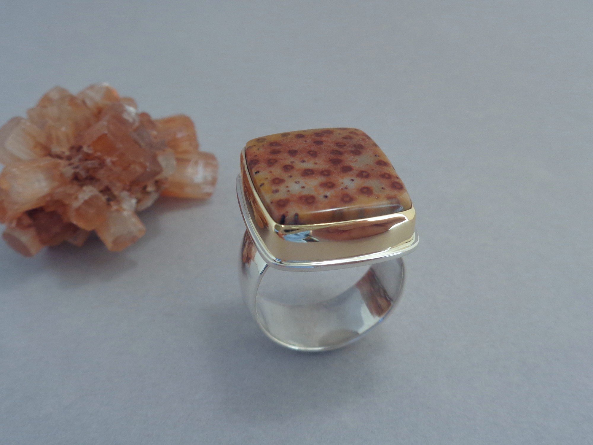 18k and sterling ring with petrified palm wood x.jpg