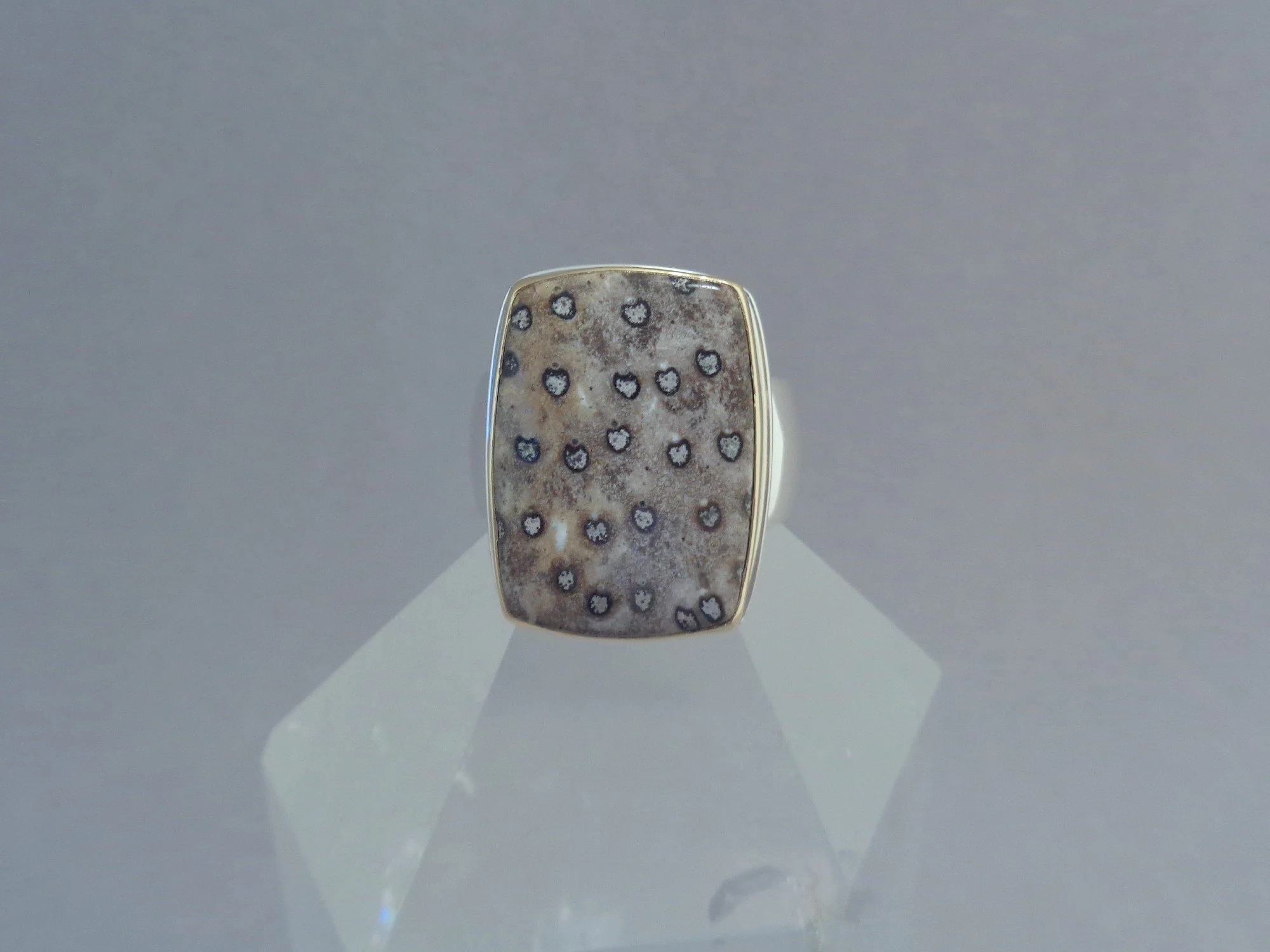 taupe petrified palm wood ring x.jpg