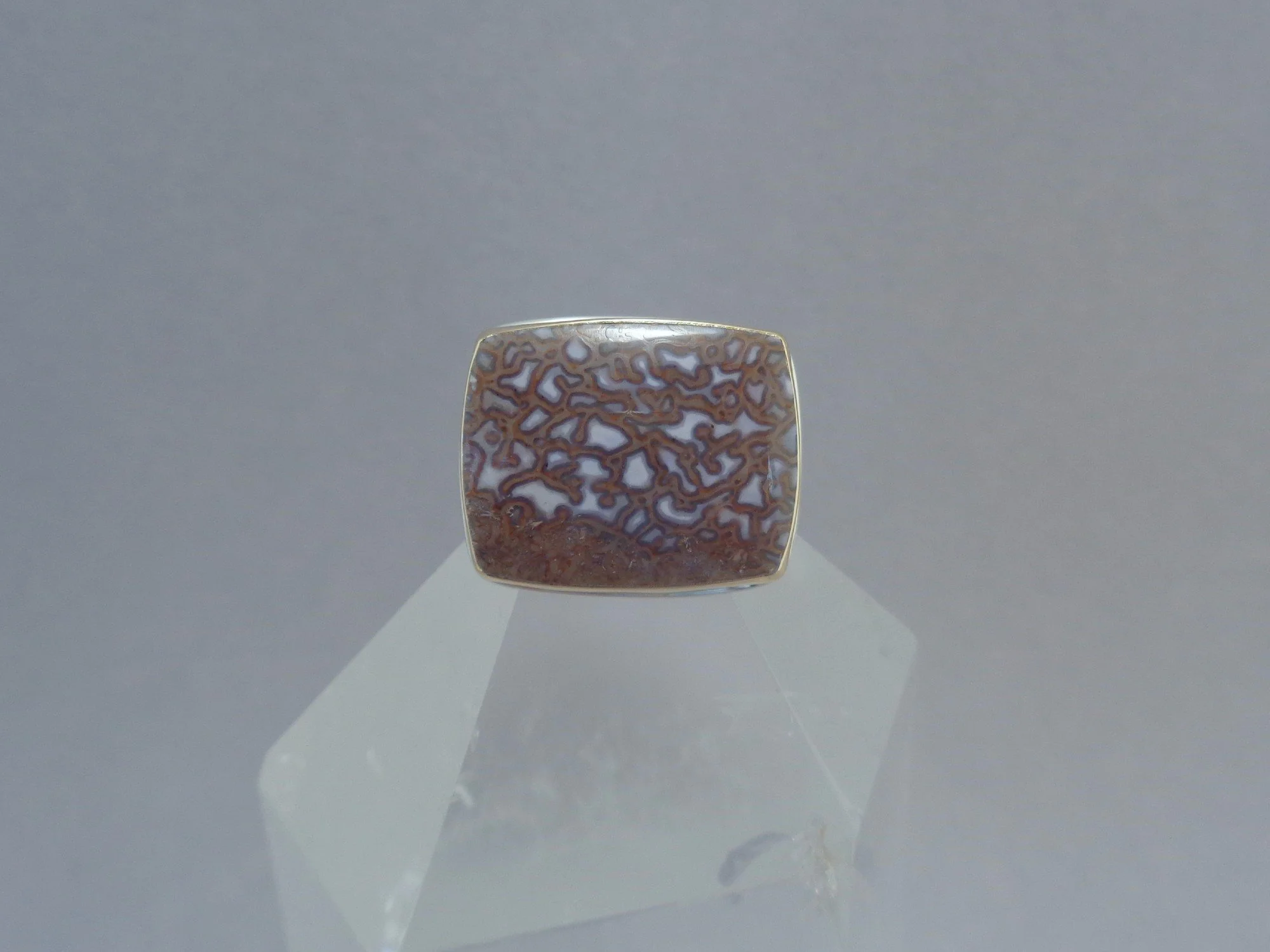 petrified dinosaur bone ring.jpg