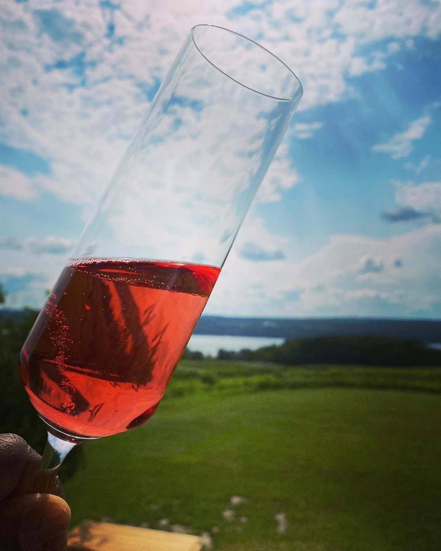 One of the best sparkling ros&eacute; I&rsquo;ve ever had. The grape? #saperavi!! If this isn&rsquo;t a grape you already know, learn it!  #fingerlakeswine #wineadventures #theblacksommelier#trg #therollinggrape #mobliewinetastings #tourdc #booknow #