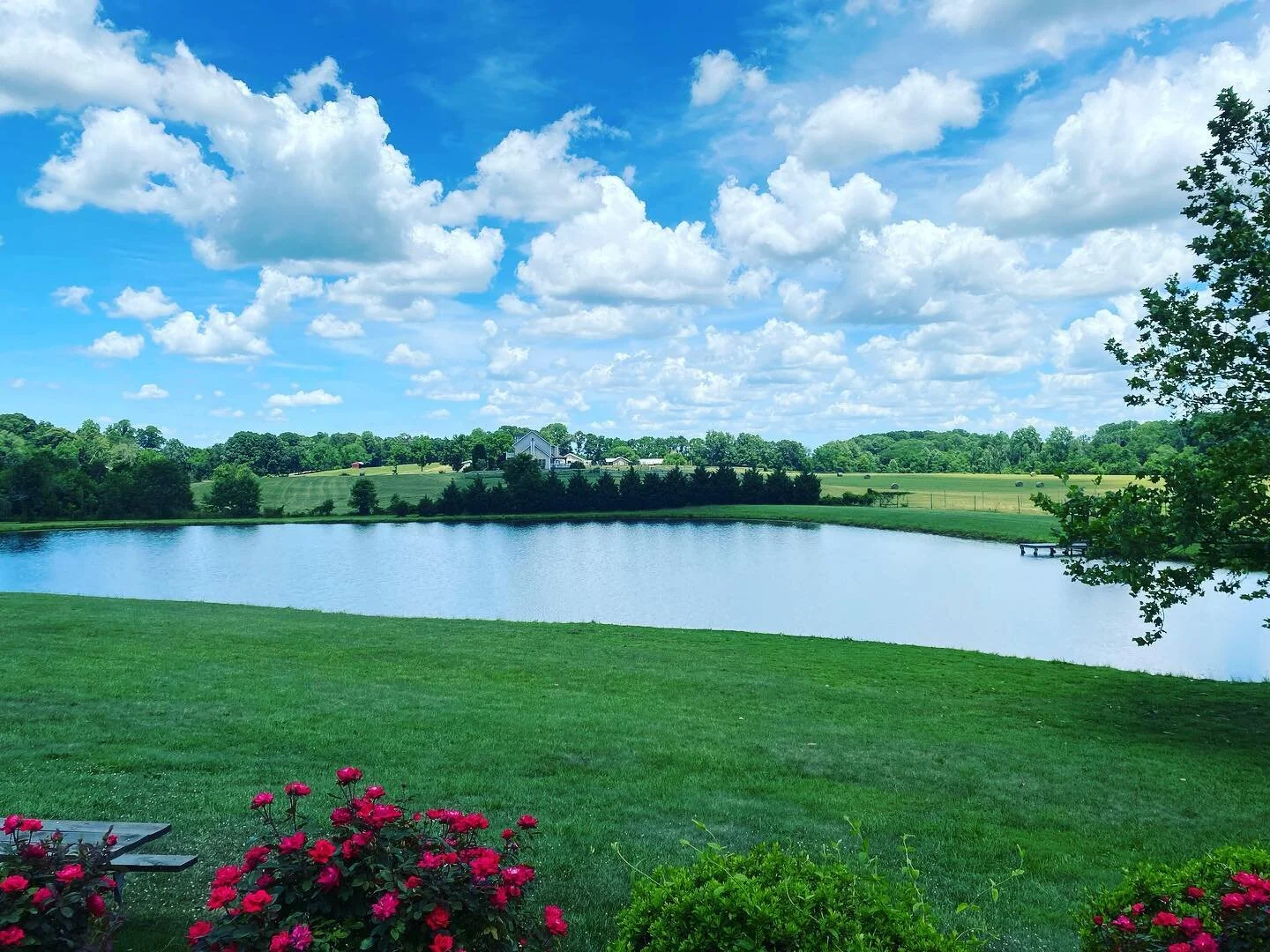 Peace and serenity! Often we go to wineries and unknowingly experience tunnel vision.  Our focus is usually on the Wines and the Wines only (tasting, flights, glasses and bottles). We tend to quickly forget the ambience- Some are natural  and some ar