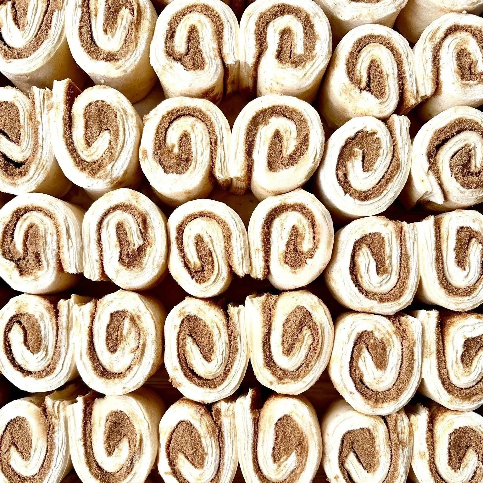 Thanksgiving Frozen Wonder Bun (Pack of 4)