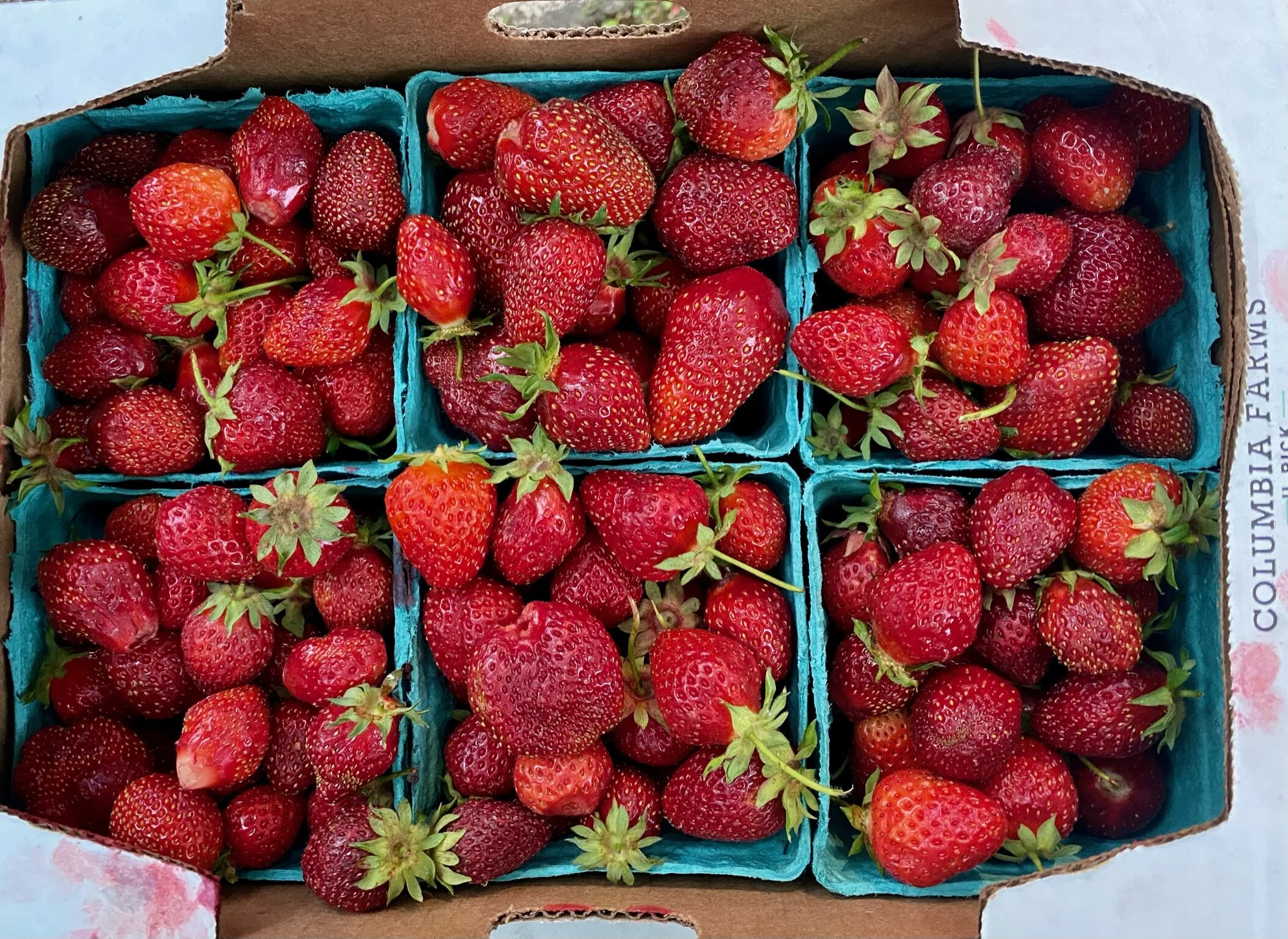 Hood Strawberry Danish