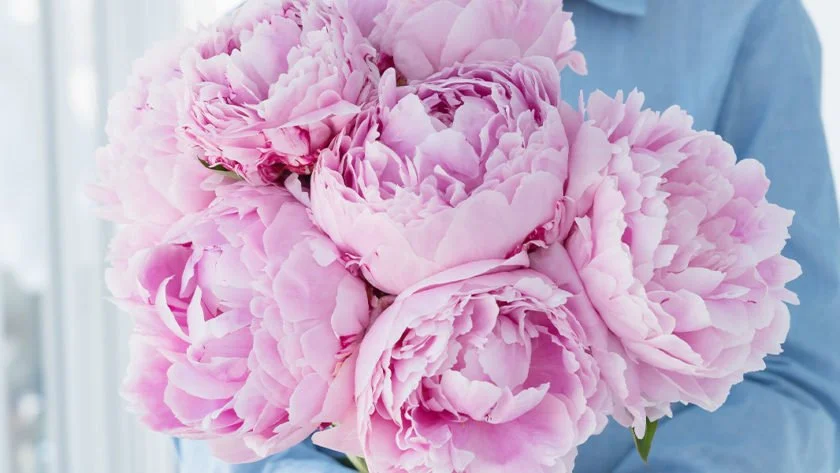 For the Mothers and the Nurturers: Mother’s Day Pre-orders are open 🌸