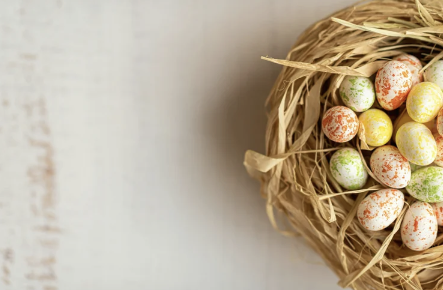 Happy Easter from Bakeshop! 