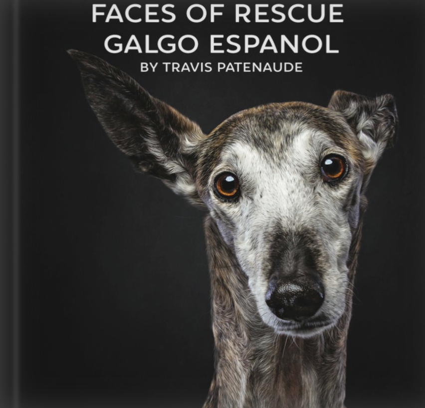 faces-of-rescue-cover.png