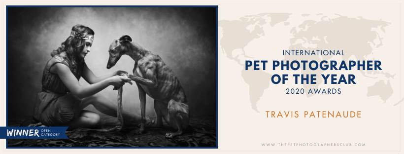 Open Category Winner for the International Pet photograpger of the Year 2020