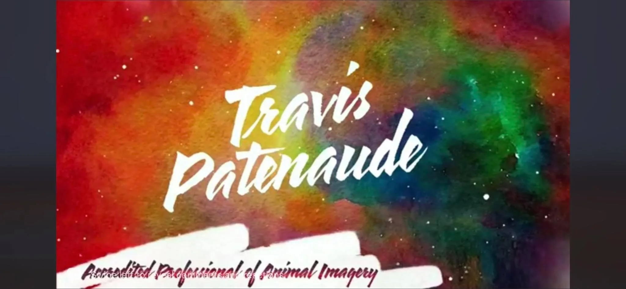 One of first 13 Pet Photographers to receive the "Accredited Professional of Animal Imagery"