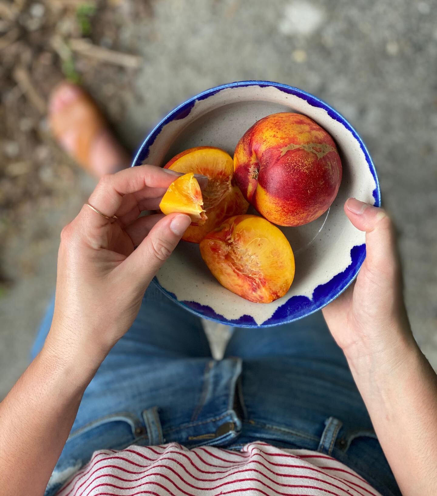 Today's farmers market bounty included these outrageously delicious nectarines from @restawhilecountry 
I think I&rsquo;ll eat the rest for dessert tonight with big dollops of whipped cream.

The Arielle Bowl pictured here is part of a set and is ava