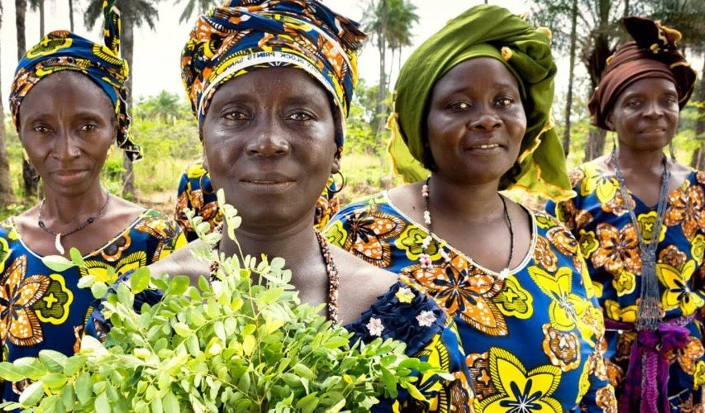 La Mujer en la Agricultura: El Capítulo que Falta en Nuestros Libros de Historia