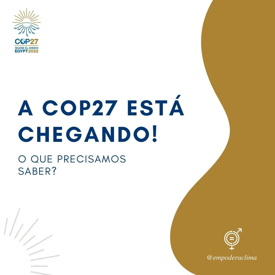 Estamos h&aacute; menos de um m&ecirc;s da COP27 e voc&ecirc; vai acompanhar tudo com a Empodera! 

Mas antes disso, o que precisamos saber?

A COP &eacute; o maior e mais importante f&oacute;rum sobre clima do mundo e, por isso, precisamos demandar 