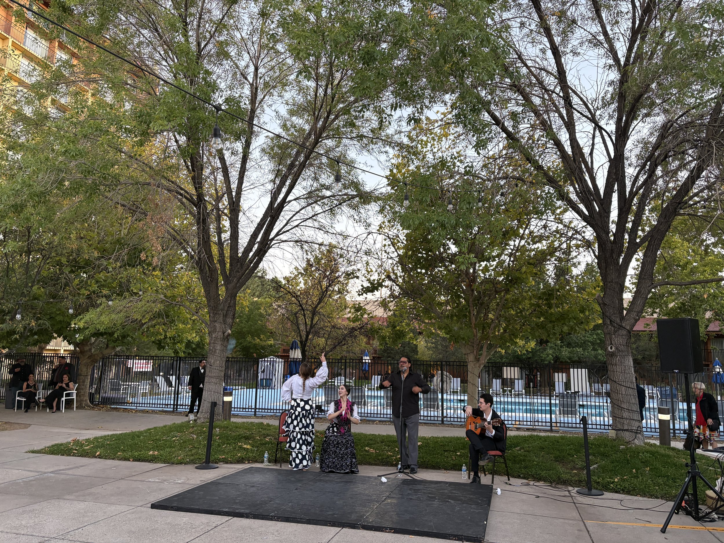 National Institute of Flamenco