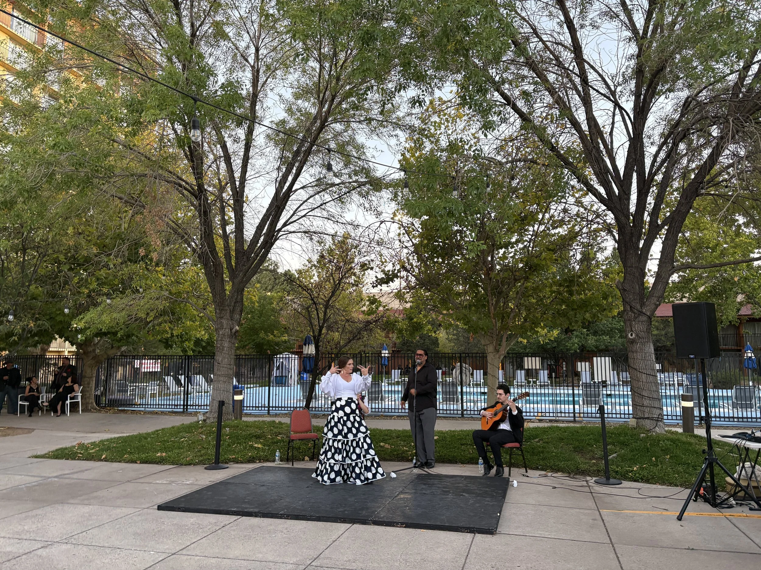 National Institute of Flamenco