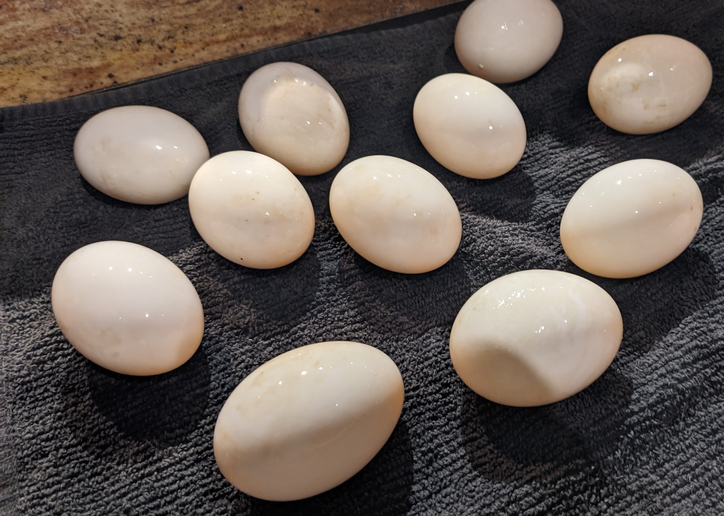 eggs.jpg