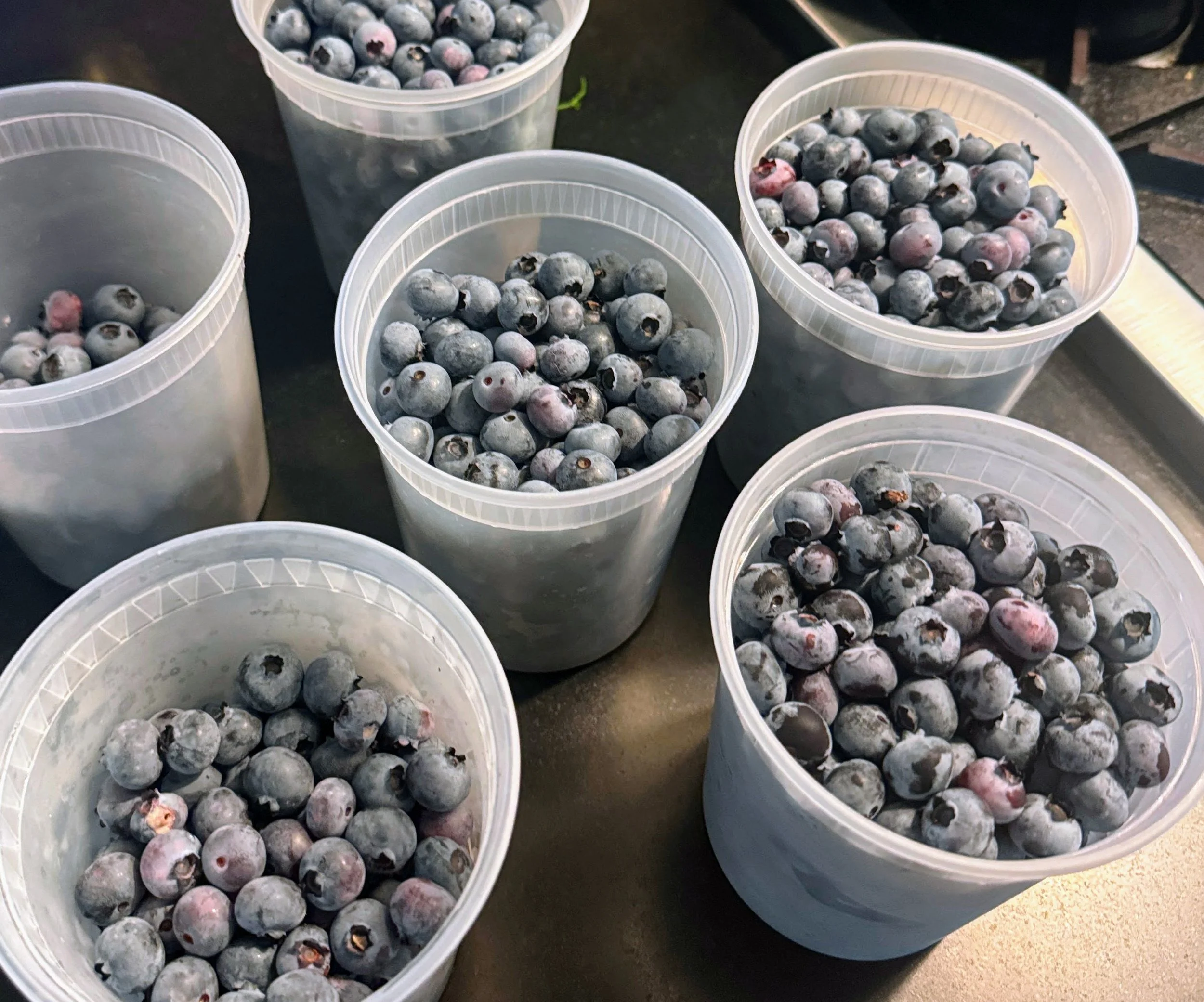 blueberries.jpg