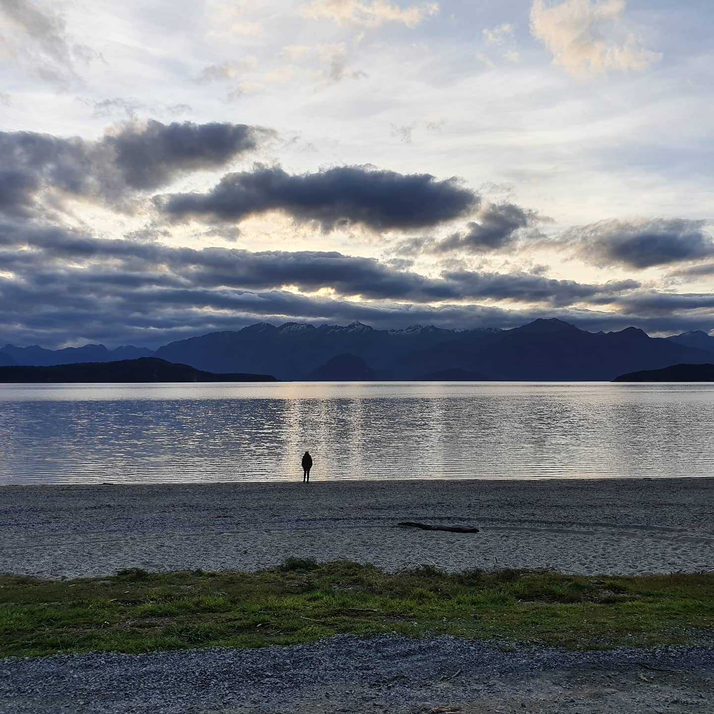 It's a wrap..saffron harvest was late, complicated and stressful due to Covid but we're  thrilled with our results. Gorgeous all red sargol saffron..celebrated with a superb paella. Take care and be safe everyone, much love to all our helpers and loyal supporters of Kiwi Saffron. Produced in NZ with passion and pride for your health and wellbeing ❤ 
#lovekiwisaffron #saffronharvest2020 #artisanfood #lovesouthland