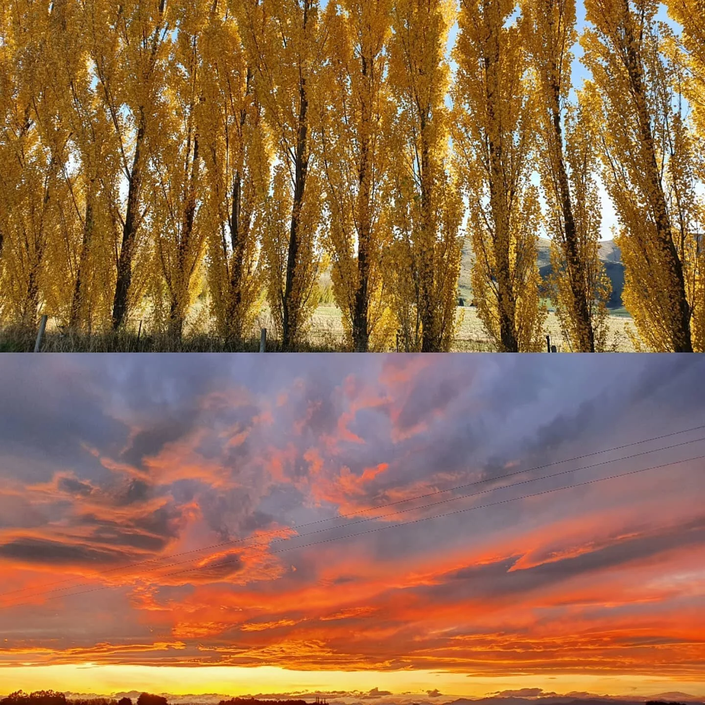 Overload of autumn colour in Saffronland 😍