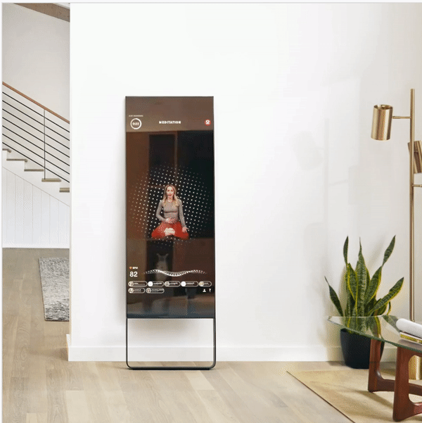 Meditation on the Mirror