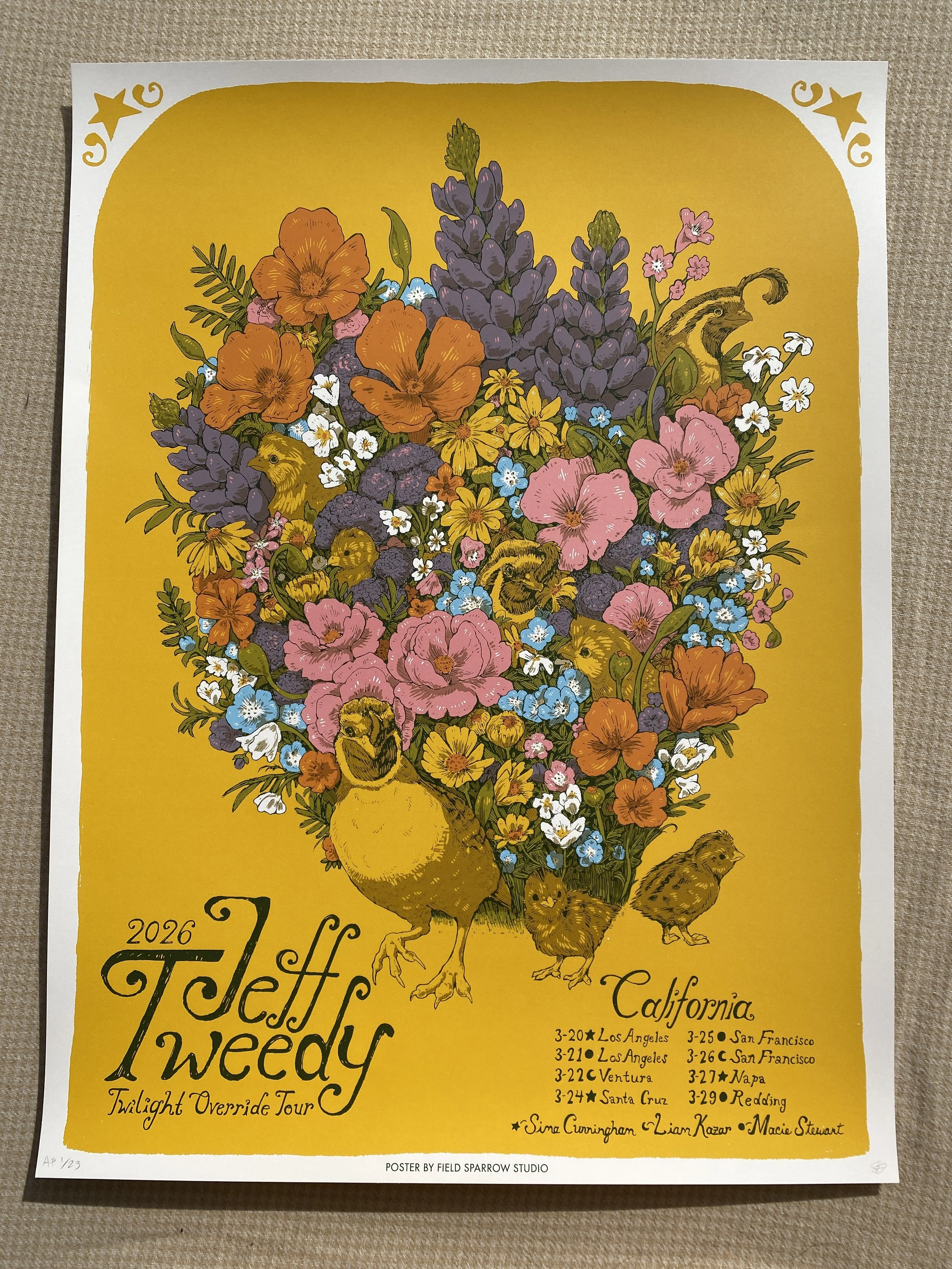 Shop — Field Sparrow Studio