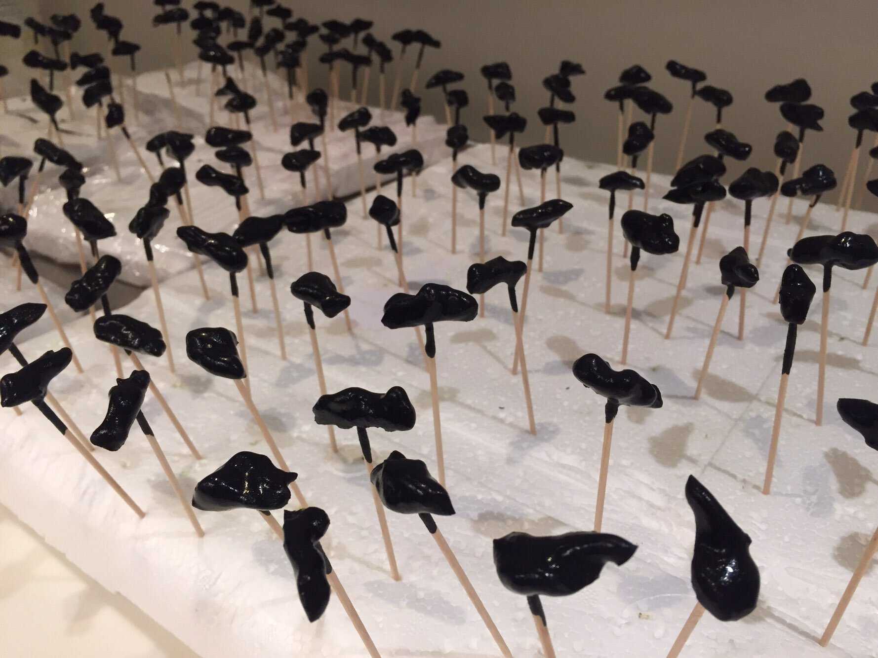 Raw walnut coated in black truffle