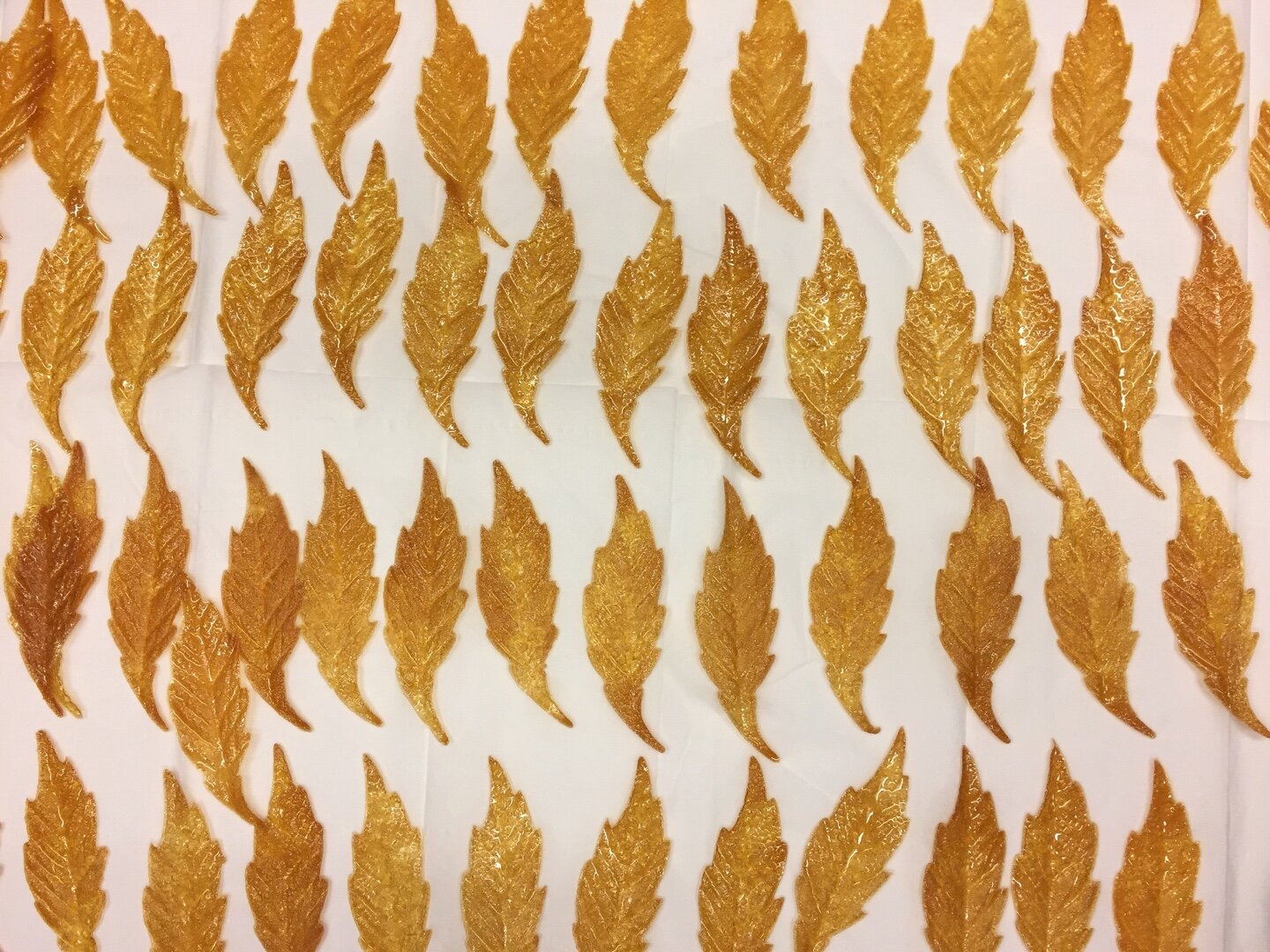Jerusalem Artichoke leaves
