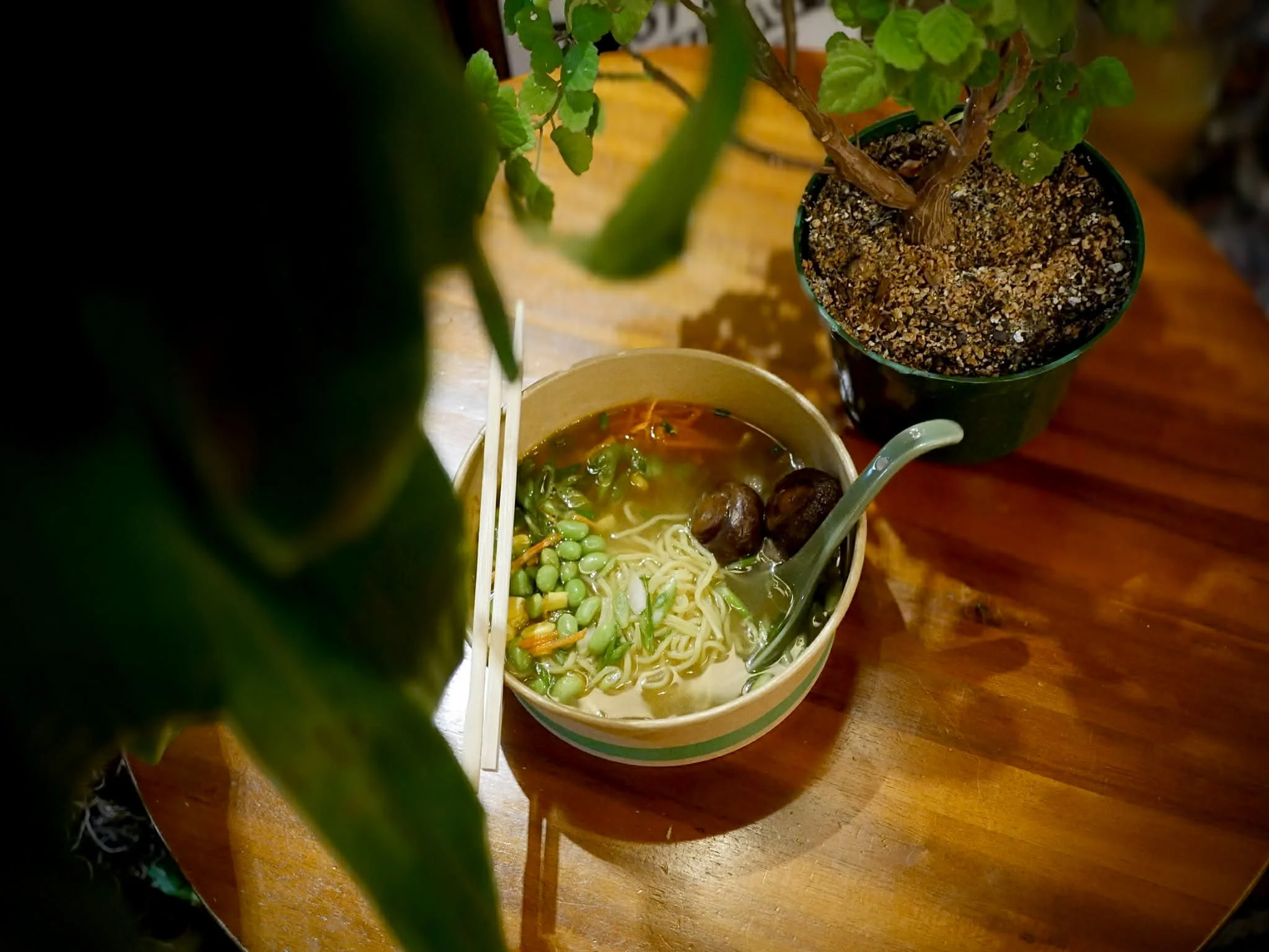 A bowl of ramen with green onions, mushrooms, and vegetables on a wooden table, with two potted plants nearby.