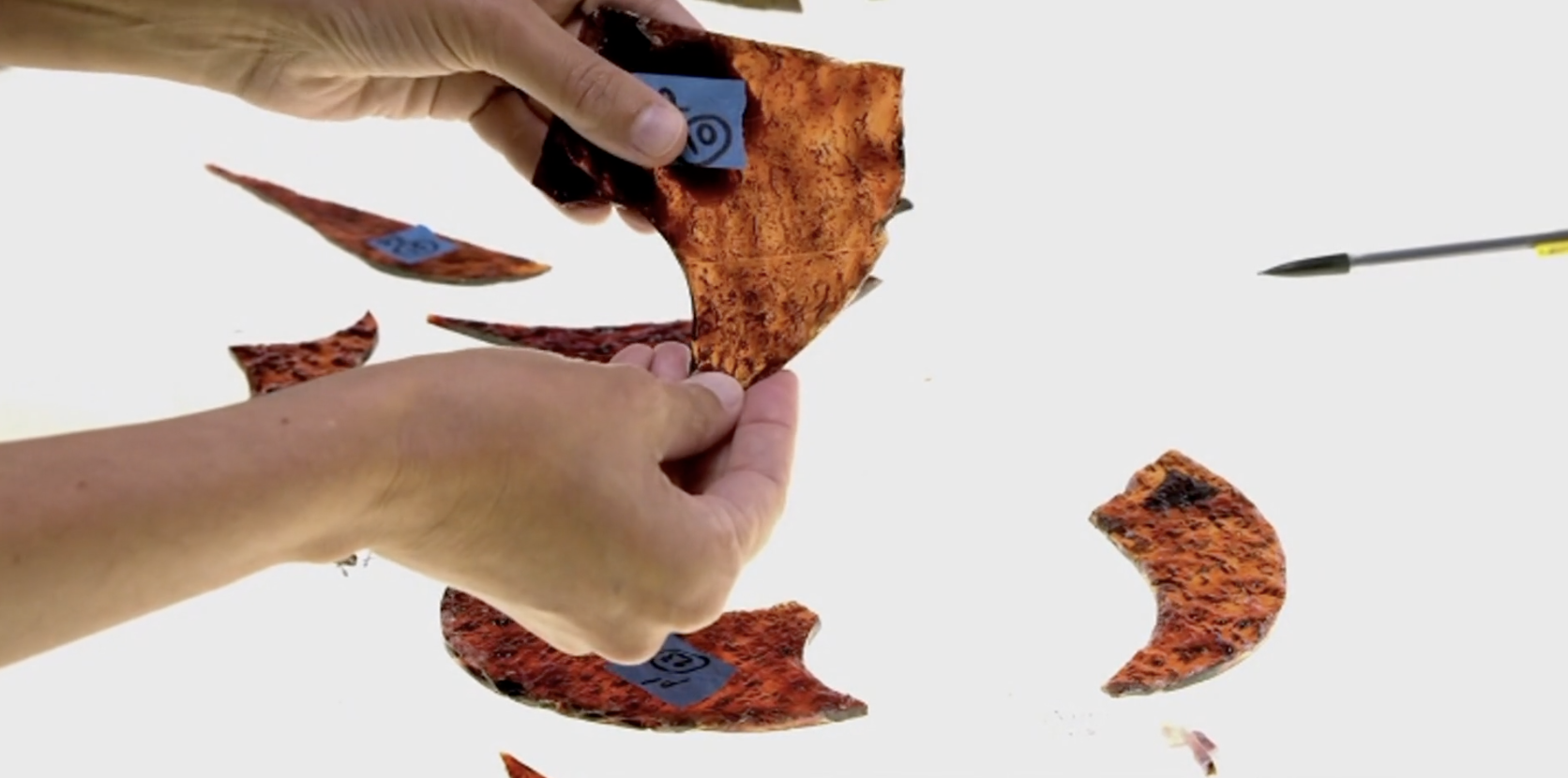 The Birth of Nzilani