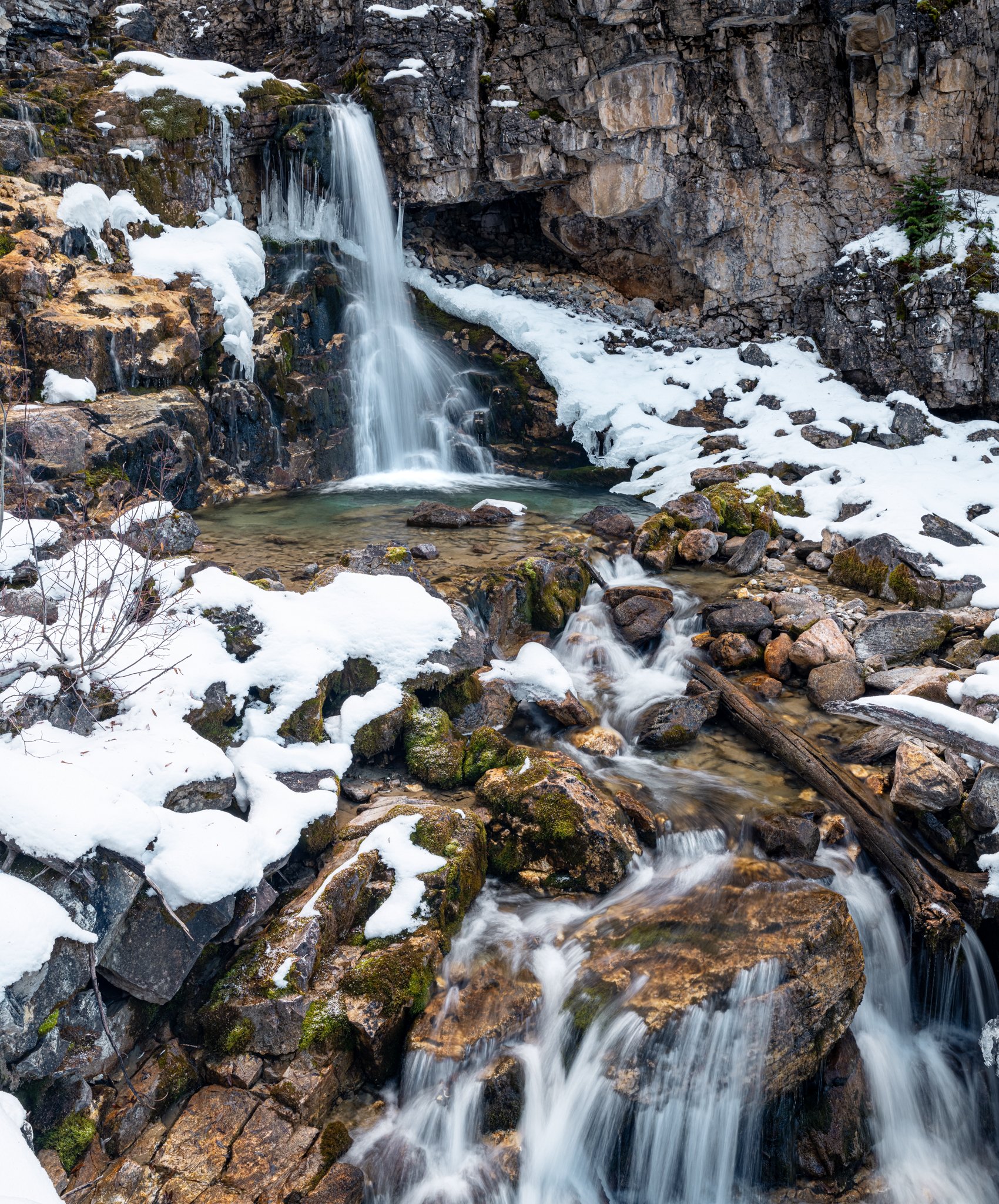Hawk Creek | Kootenay National Park | British Columbia, Canada