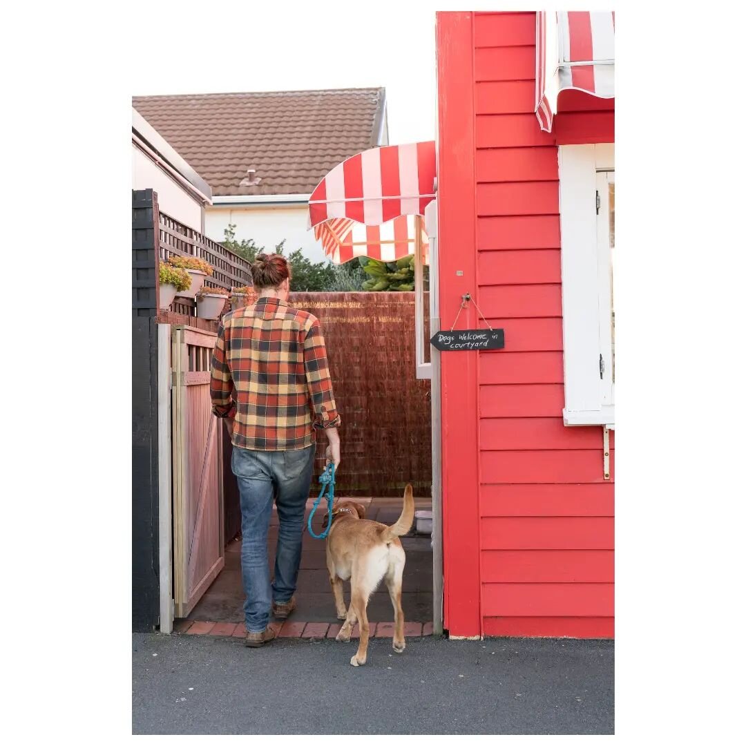 Sneak peek from a fun new project at a favourite local! My @gabeold and pup got to star. 📸😍🐕

#wellingtonphotographer #shoplocal #cafe #dogfriendly #wellington