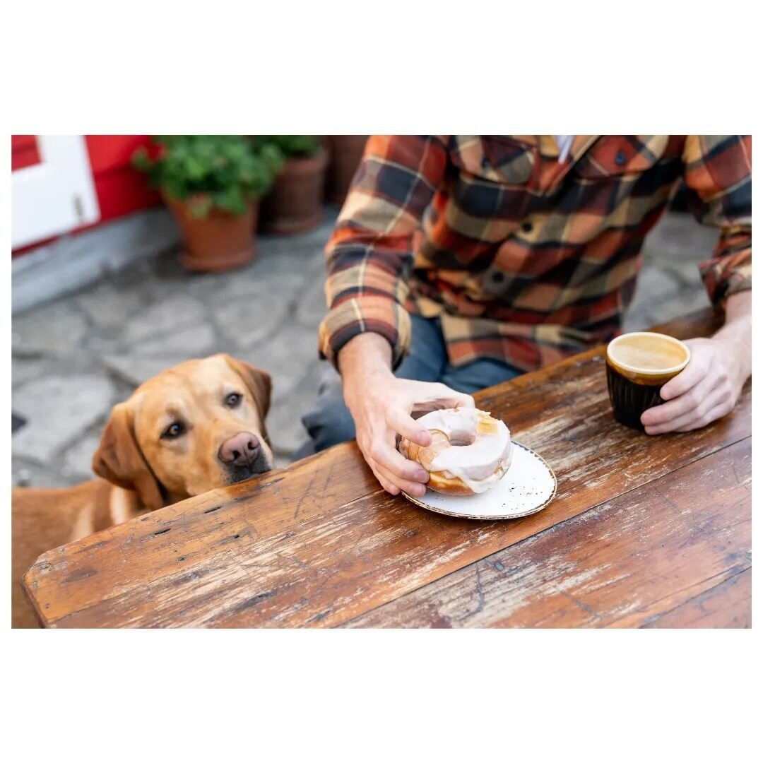 New work for gem @the_grocers_shed in collab with mates @ayestudios 🍩🤤

🐕 Rimu dog
🤏 @gabeold 
☕@the_grocers_shed 
🍩 @por.no_donuts

#photography #wellingtonphotographer #cafe #donut #eatlocal #nomnom #donuts