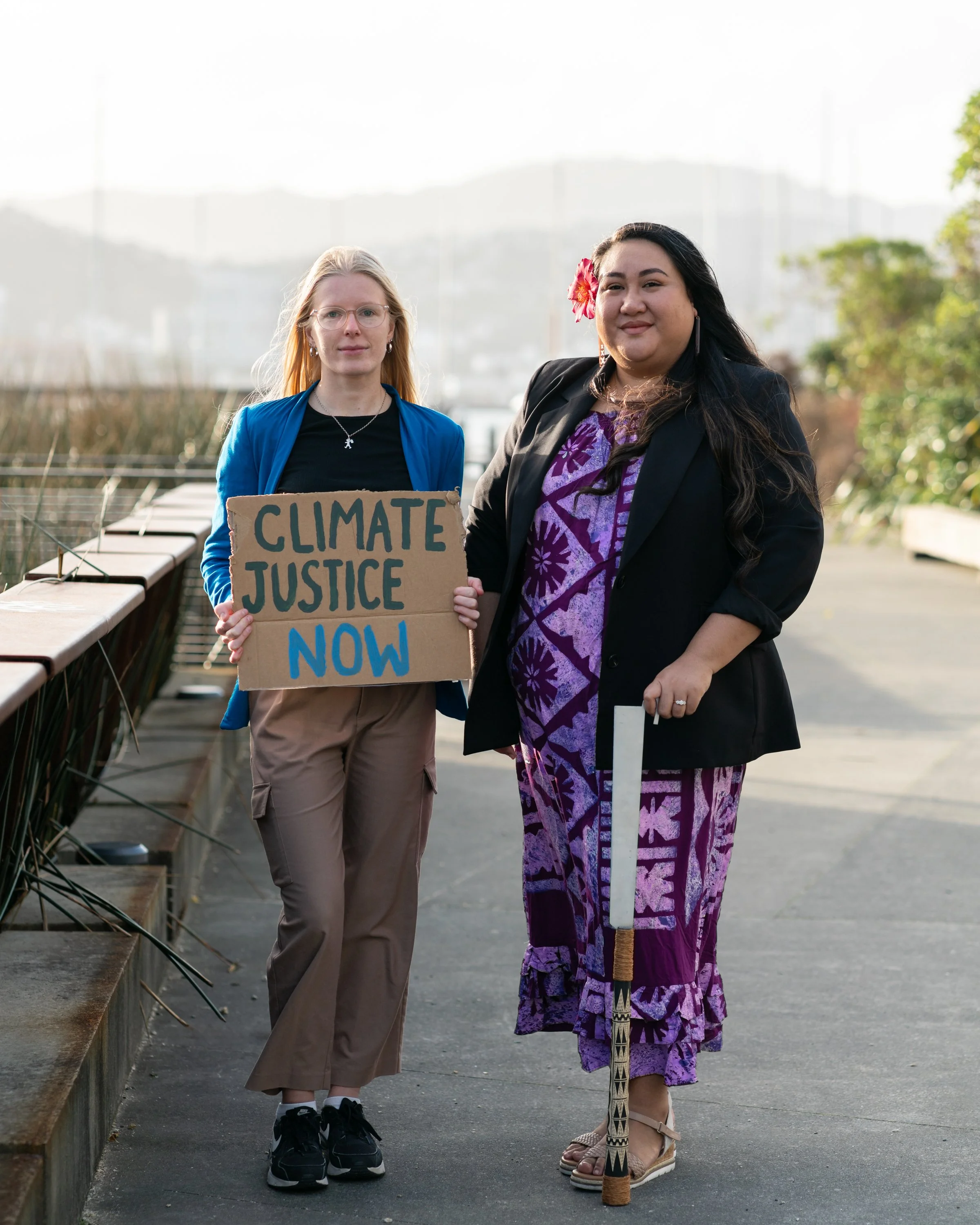 Kiwis in Climate Book