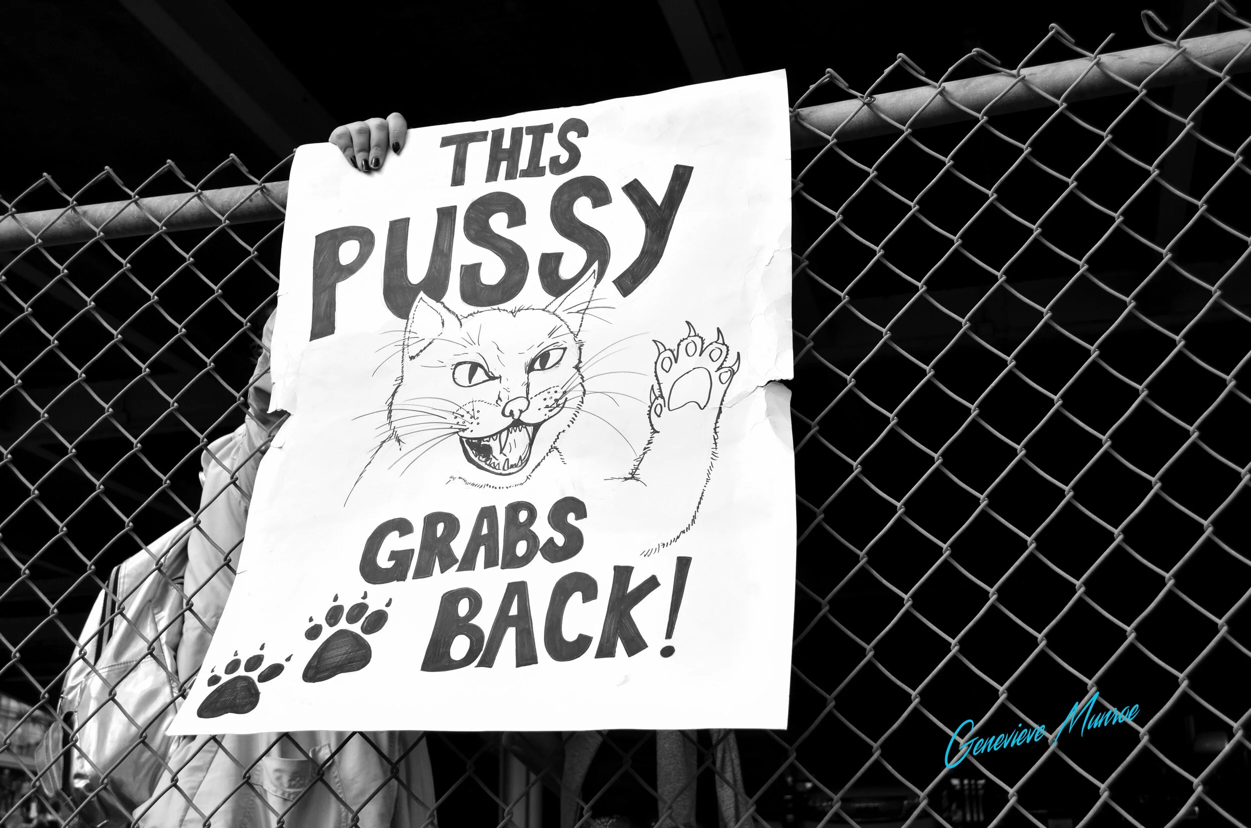 DSC_0912.jpg