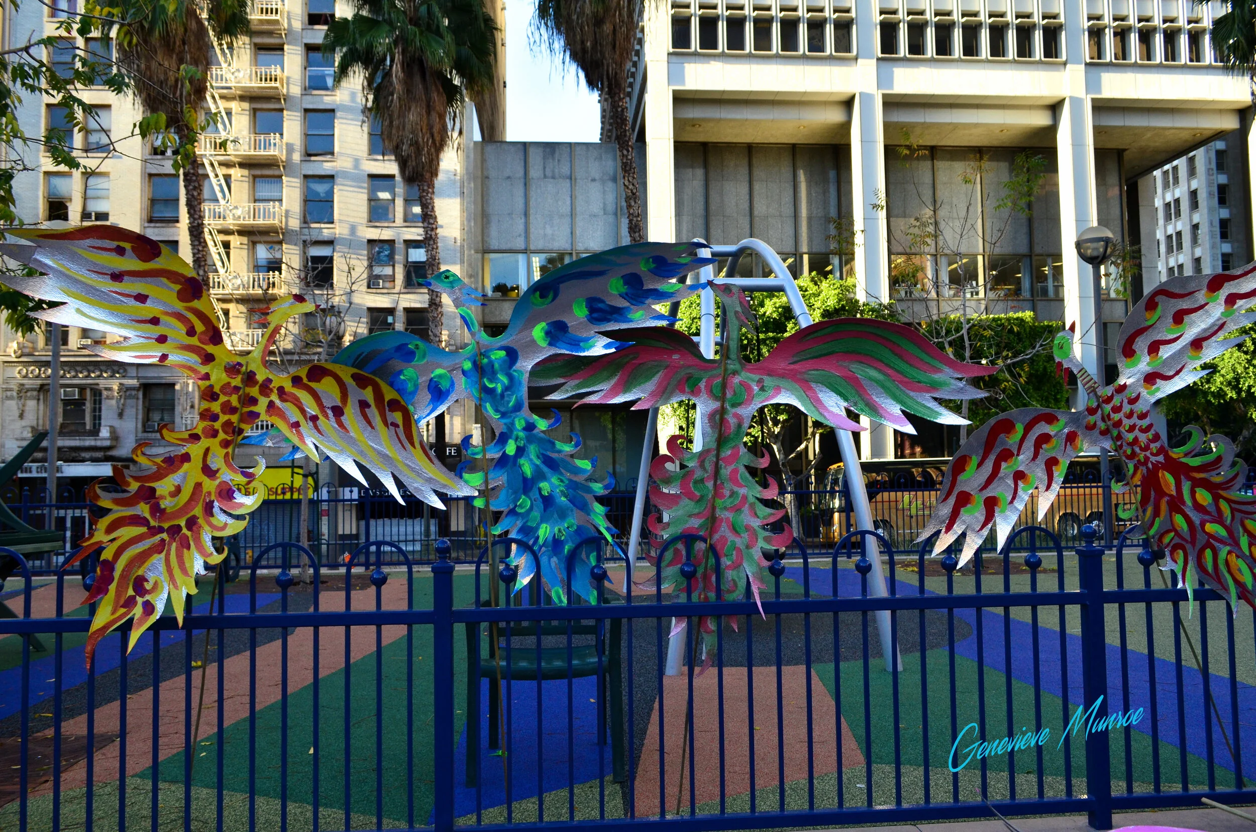DSC_0054.jpg