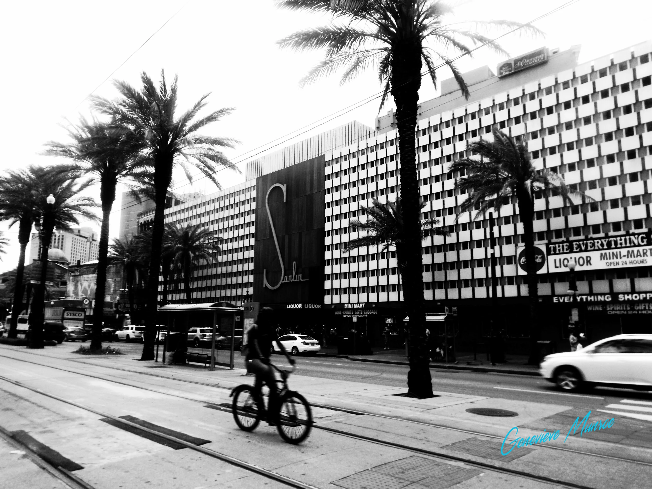 DSCF9408.jpg