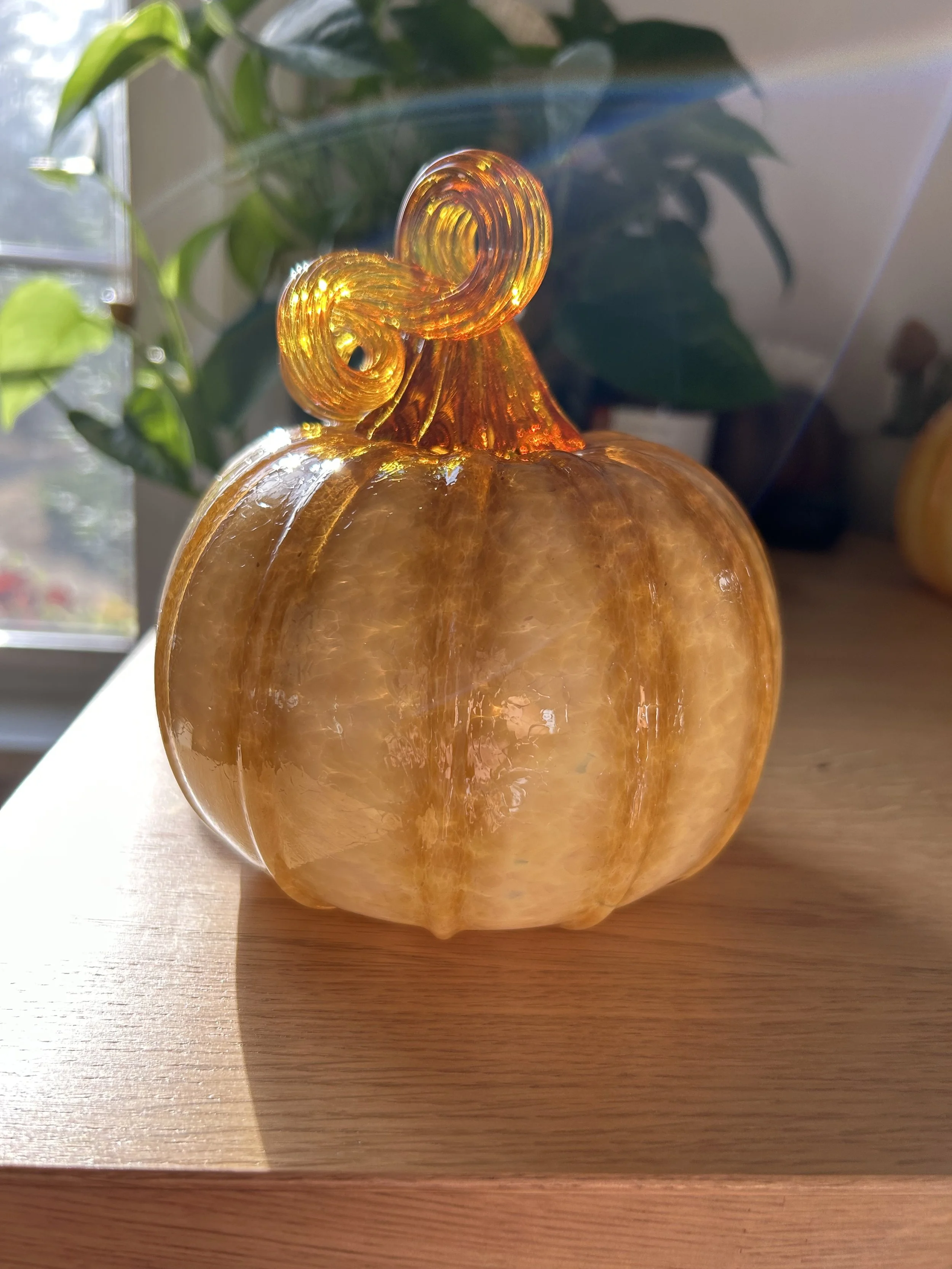 Amber overweight with gold stem 3.jpg